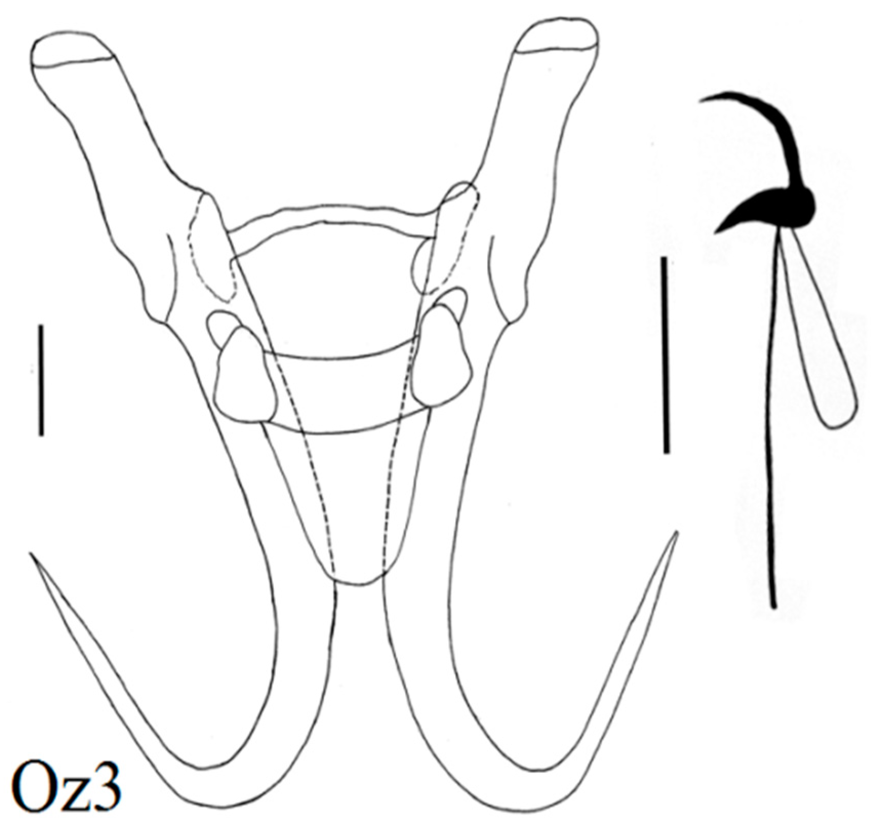 Diversity 15 00860 g004 Diversity 15 00860 g004