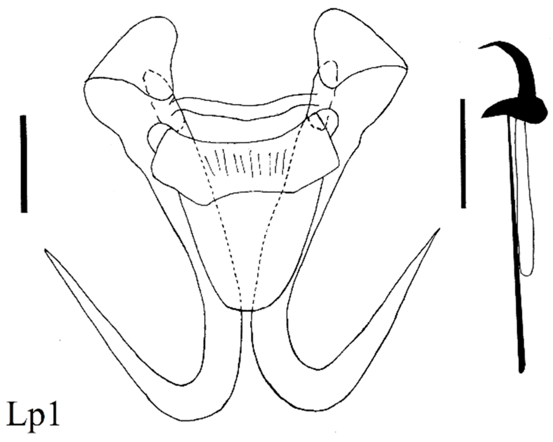 Diversity 15 00860 g006 Diversity 15 00860 g006