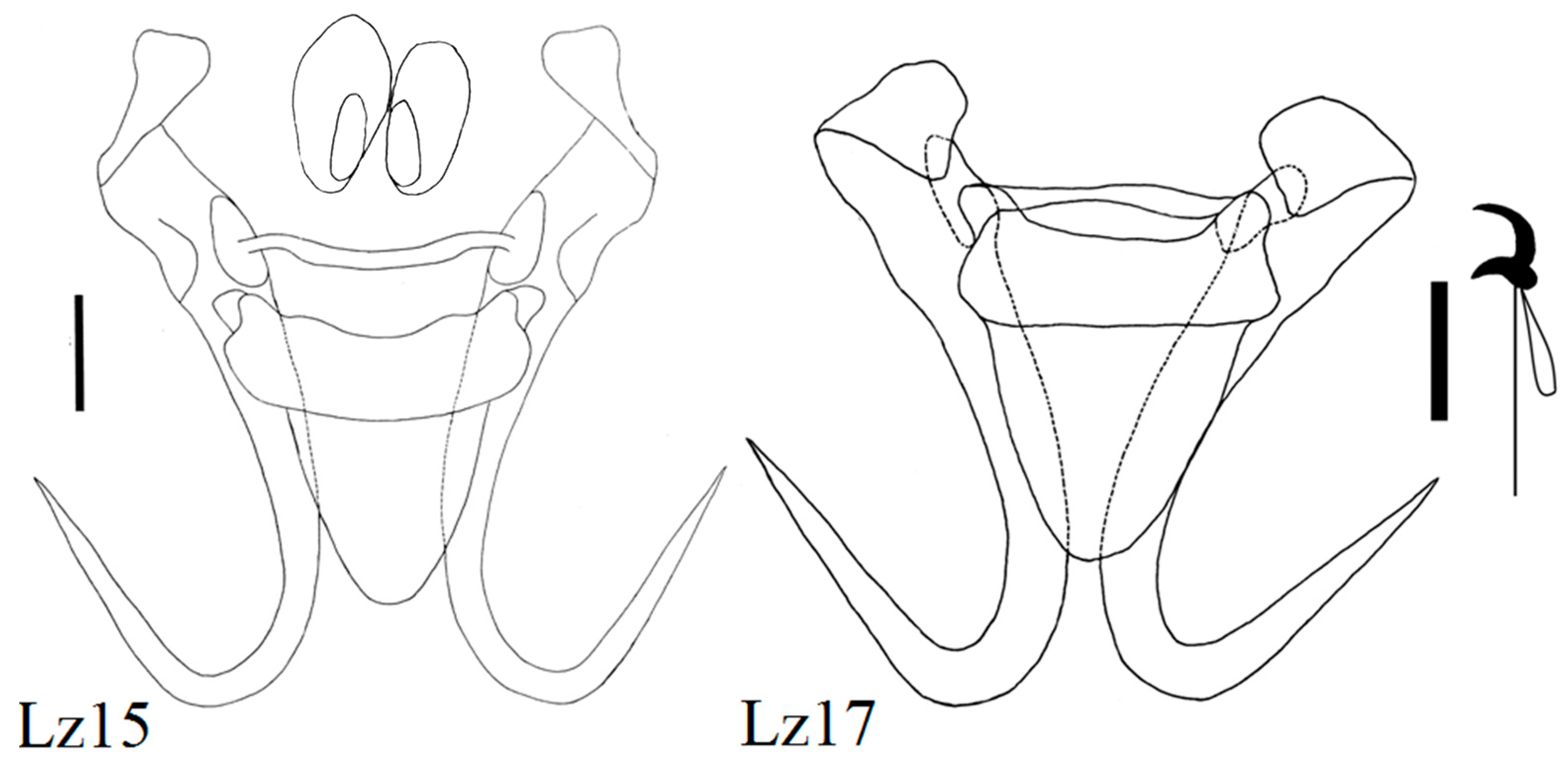 Diversity 15 00860 g007 Diversity 15 00860 g007