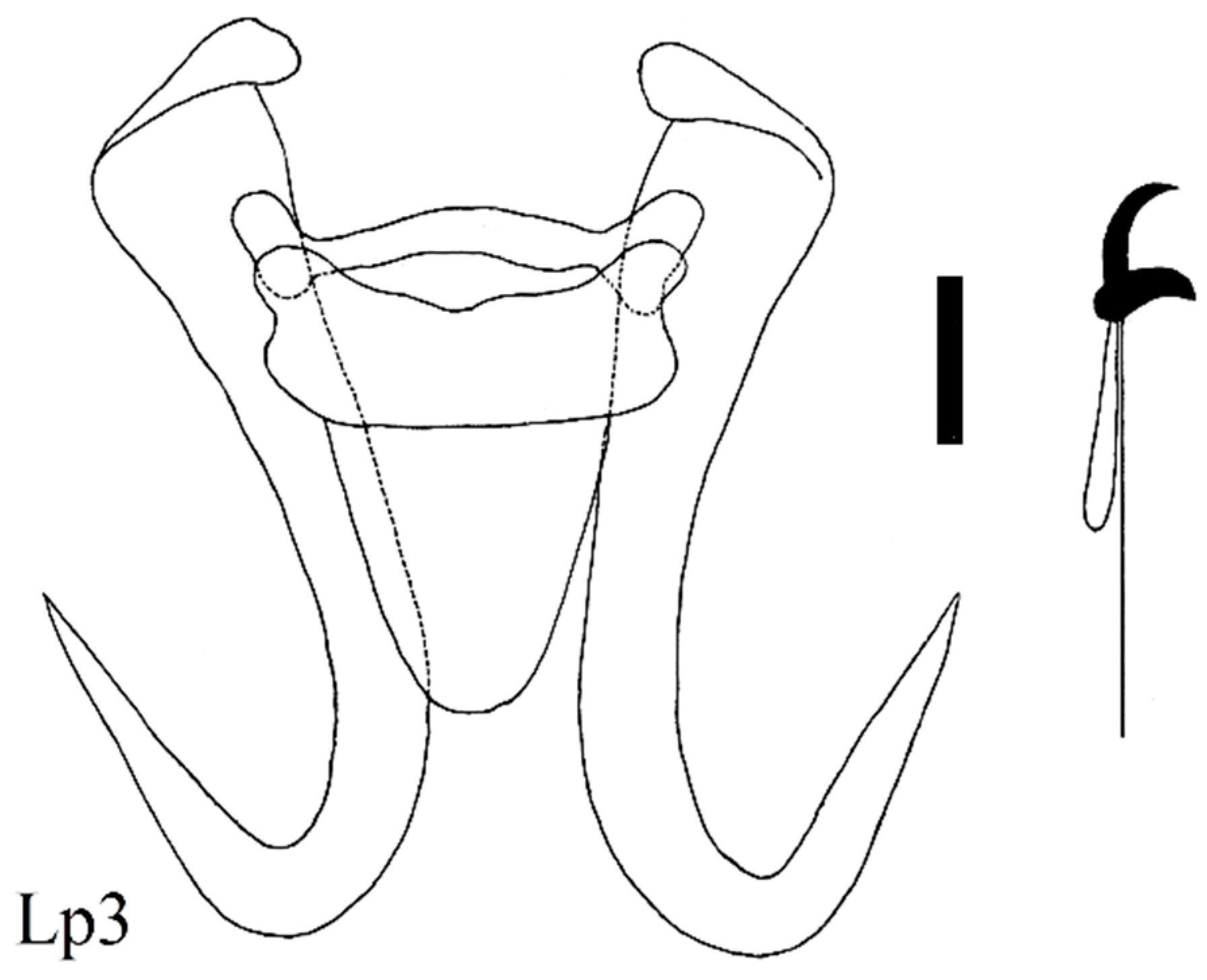 Diversity 15 00860 g011 Diversity 15 00860 g011