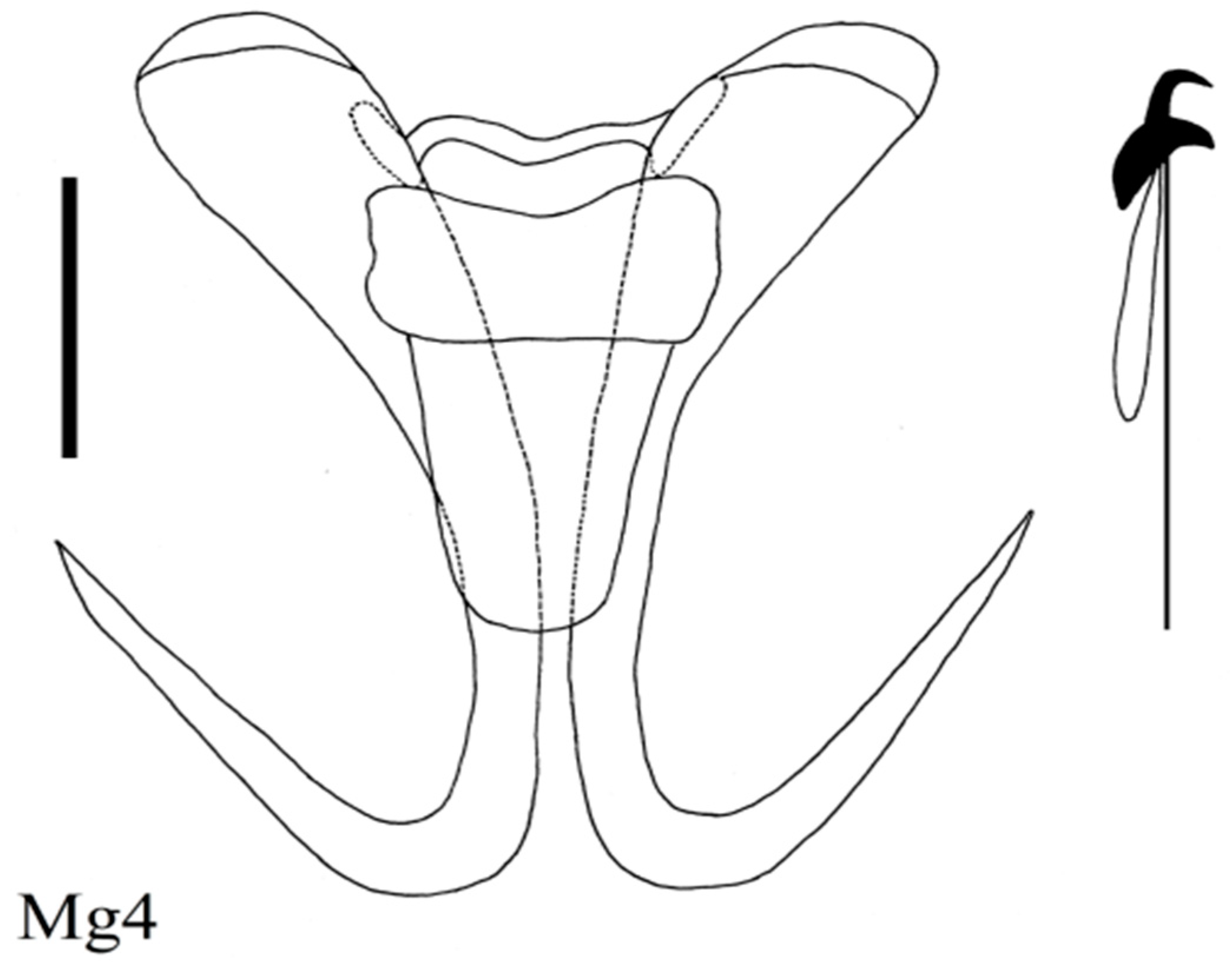 Diversity 15 00860 g015 Diversity 15 00860 g015