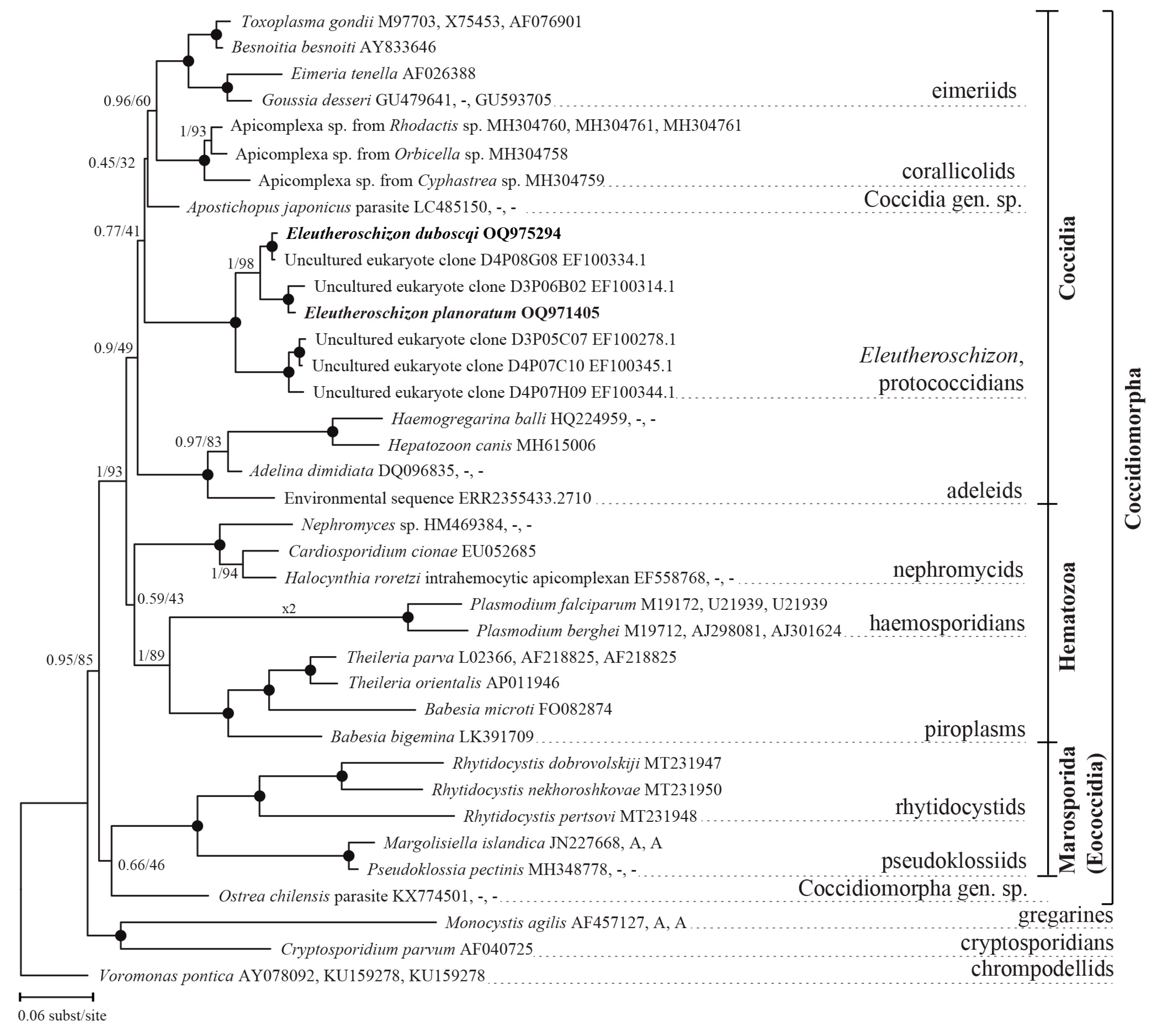 Diversity 15 00863 g004
