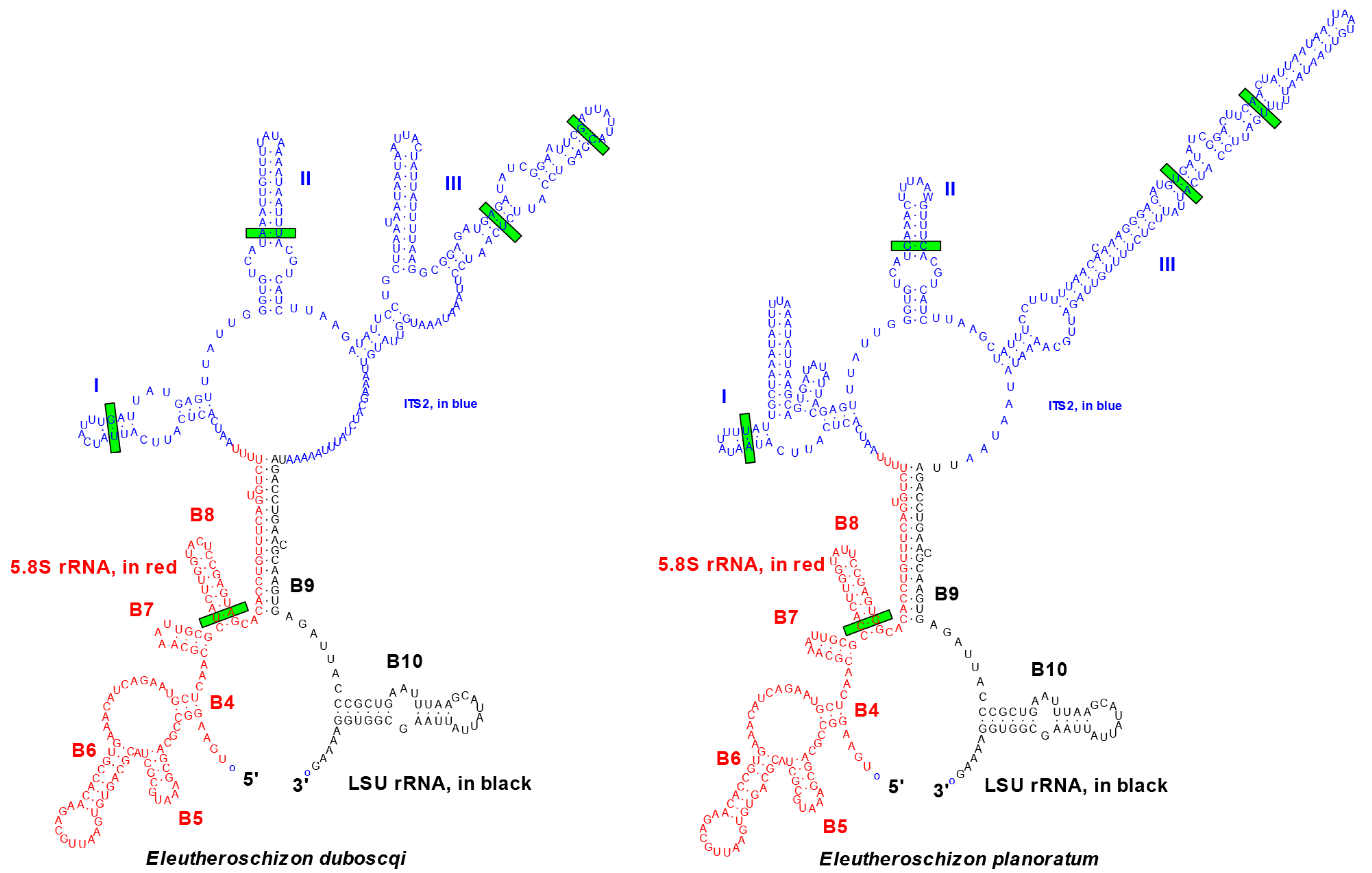 Diversity 15 00863 g005