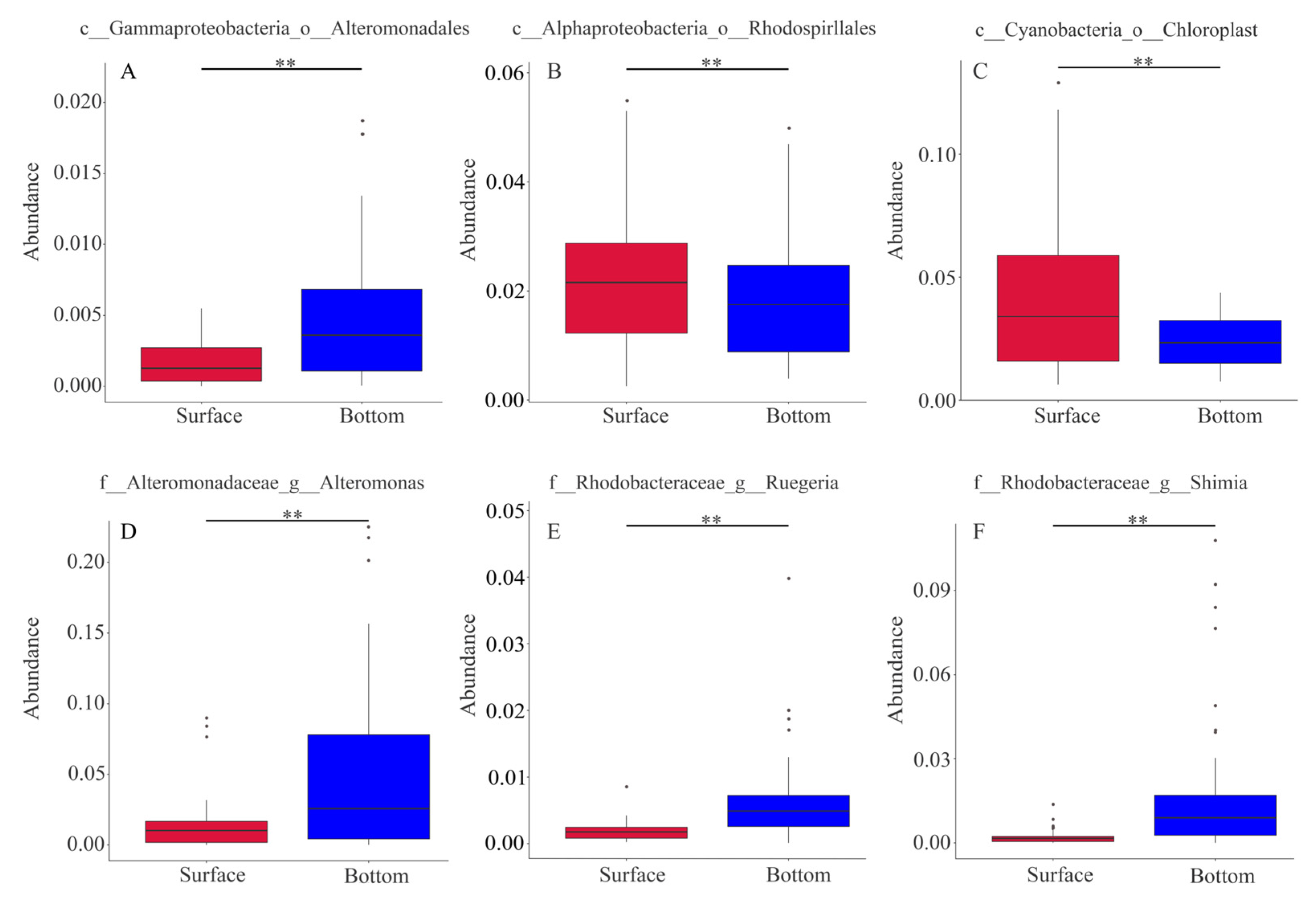 Diversity 15 00865 g007 Diversity 15 00865 g007