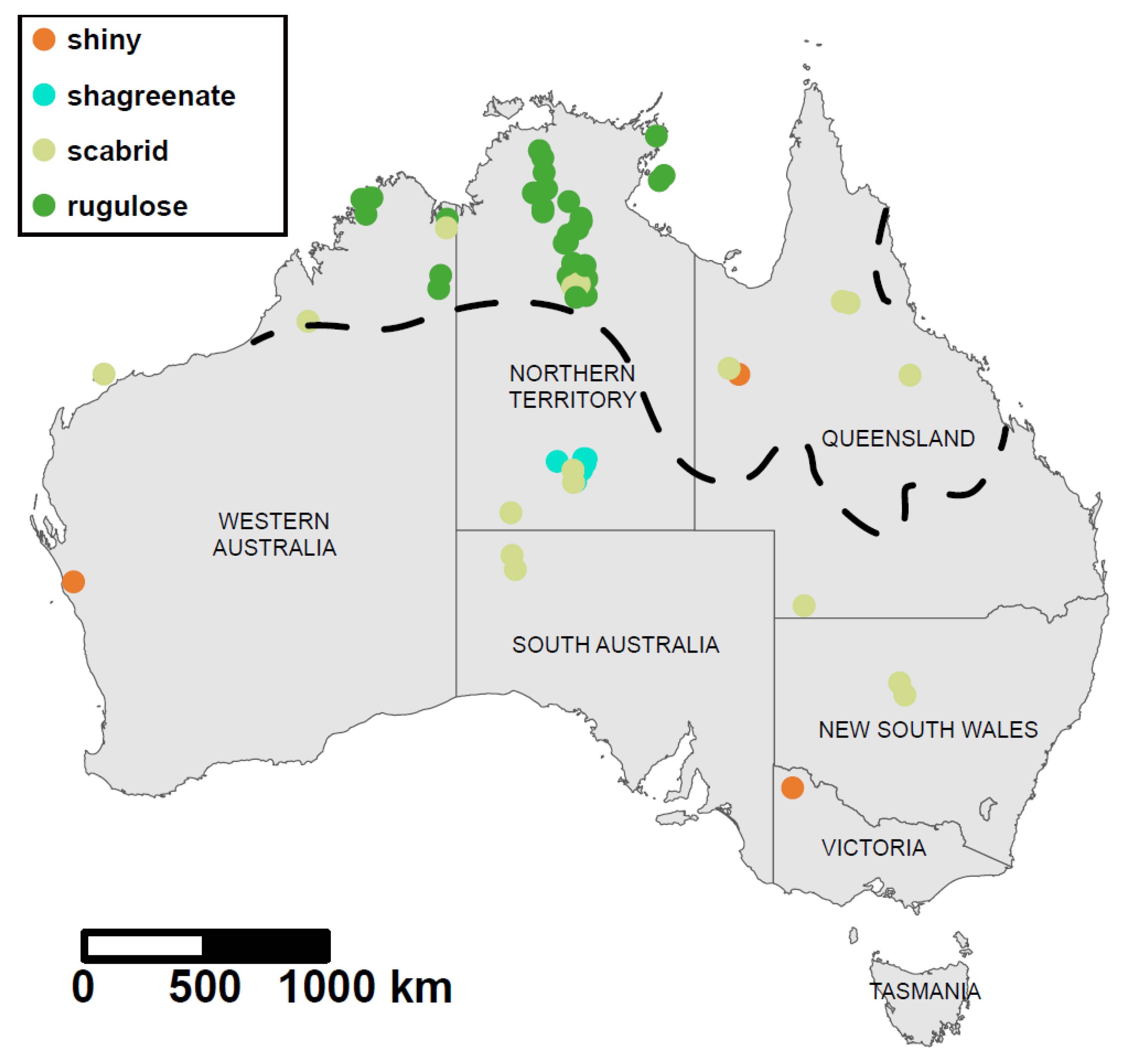 Diversity | Free Full-Text | Unrecognised Ant Megadiversity in the ...