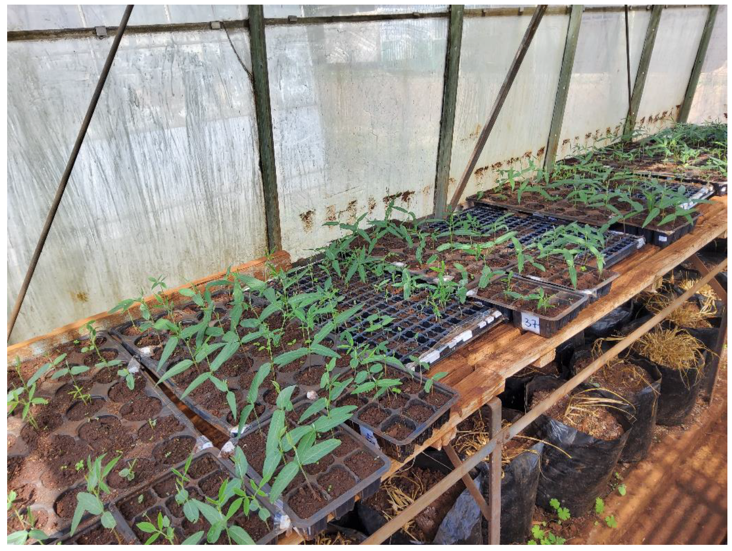 Diversity 15 00896 g004