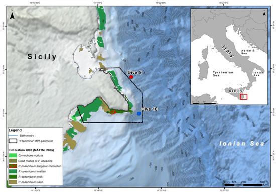 All Eyes are Pointing Due South to Sicily - Times of Sicily