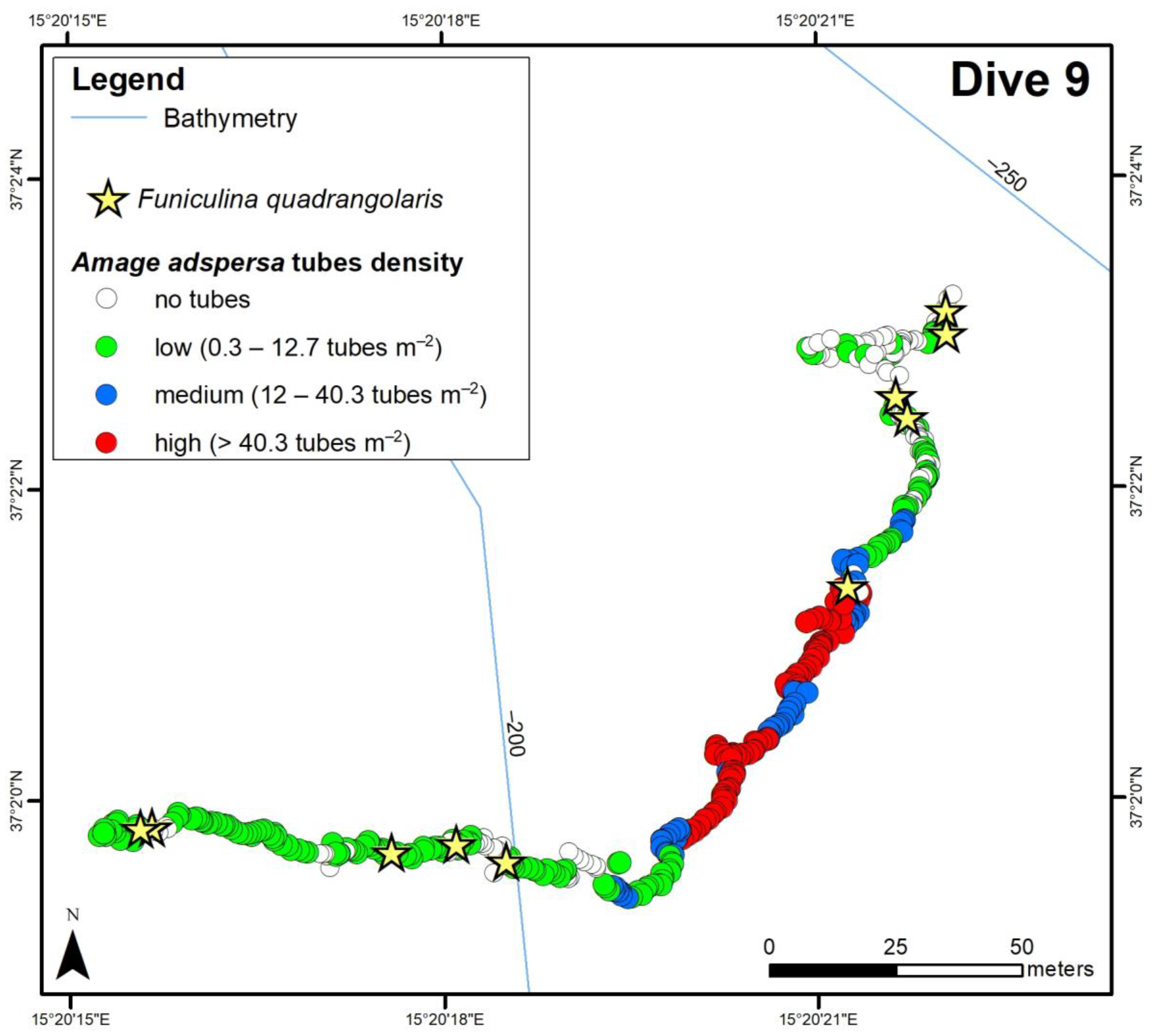 Diversity 15 00906 g004a Diversity 15 00906 g004a