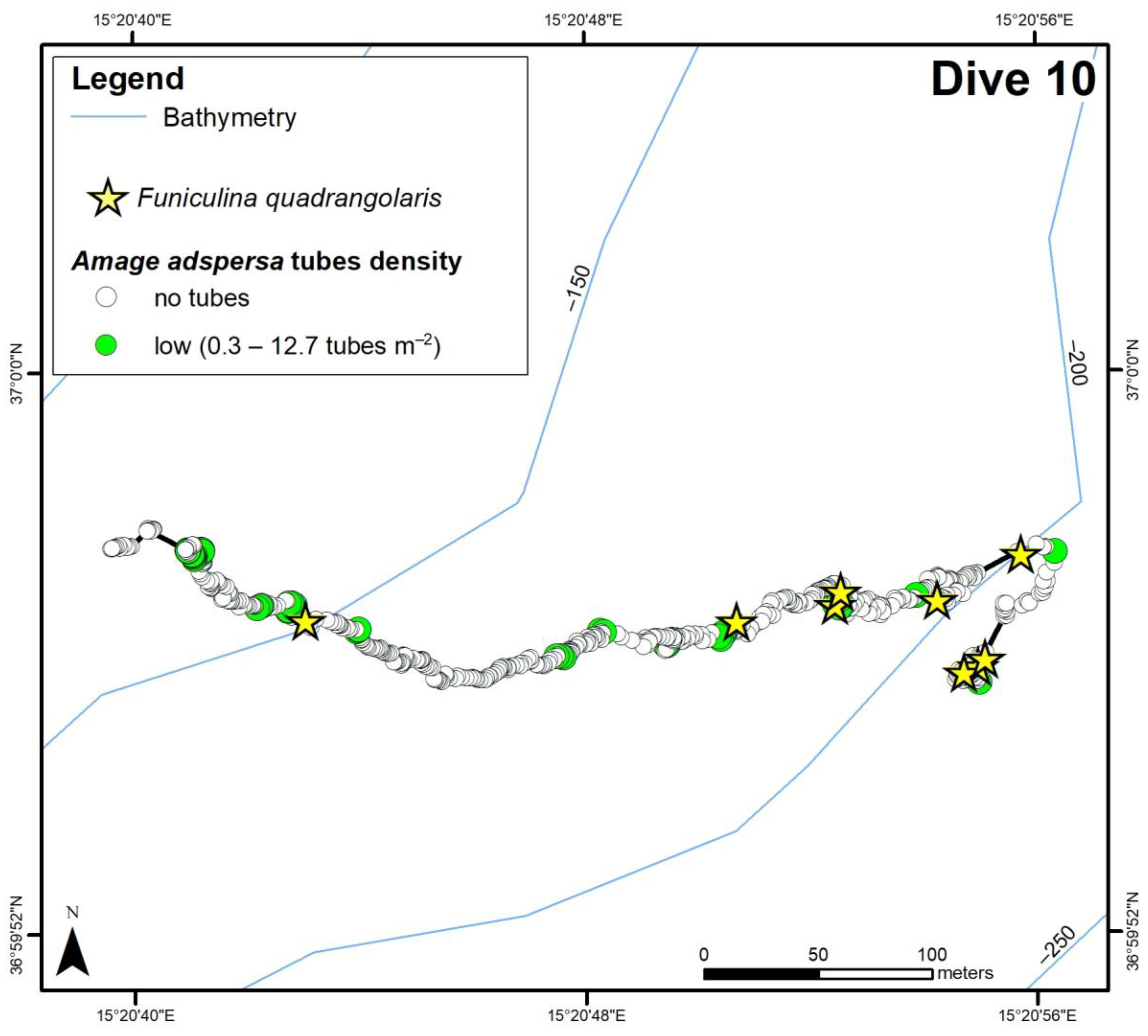 Diversity 15 00906 g004b Diversity 15 00906 g004b