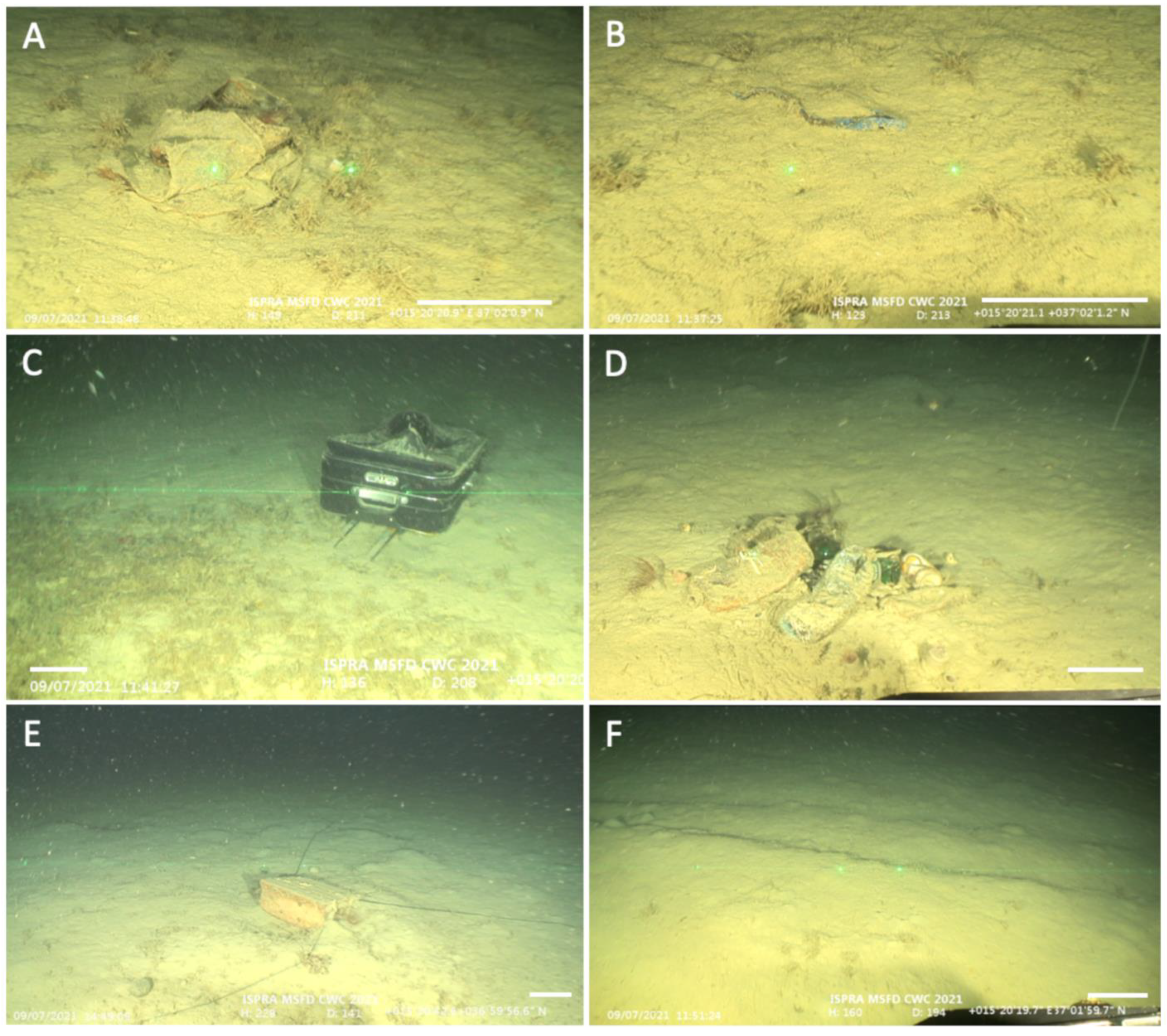 Diversity 15 00906 g007 Diversity 15 00906 g007