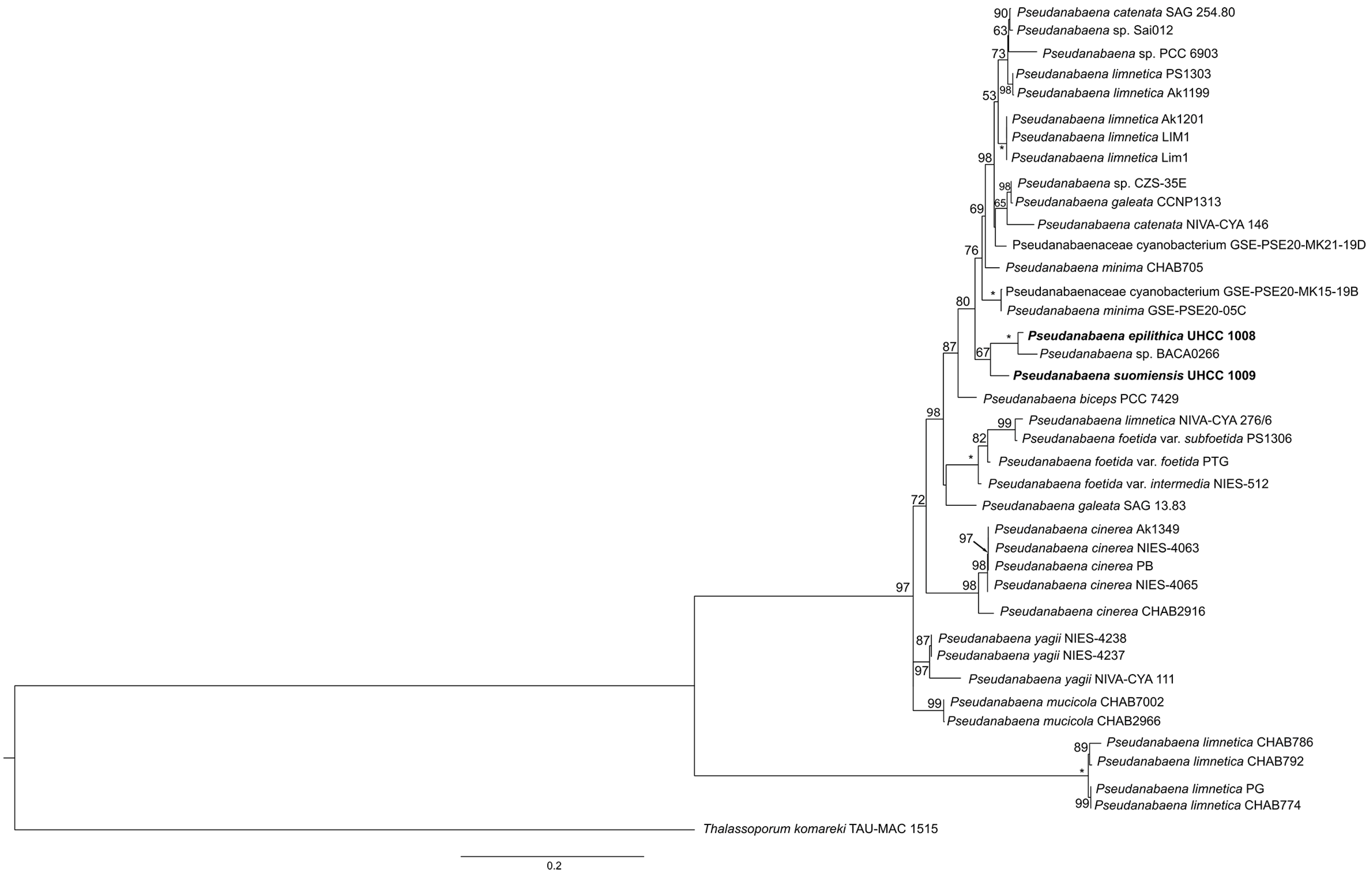 Diversity 15 00909 g004