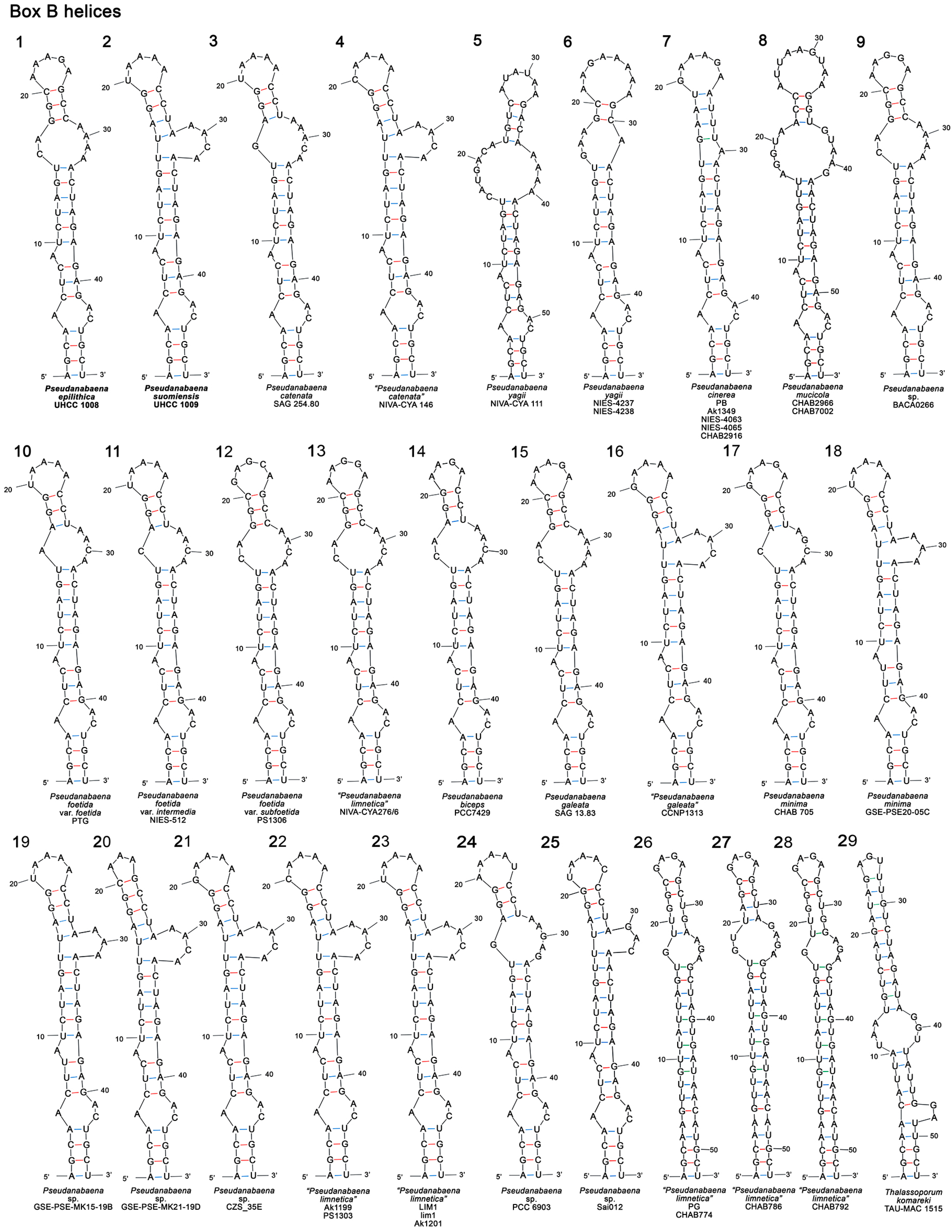 Diversity 15 00909 g006