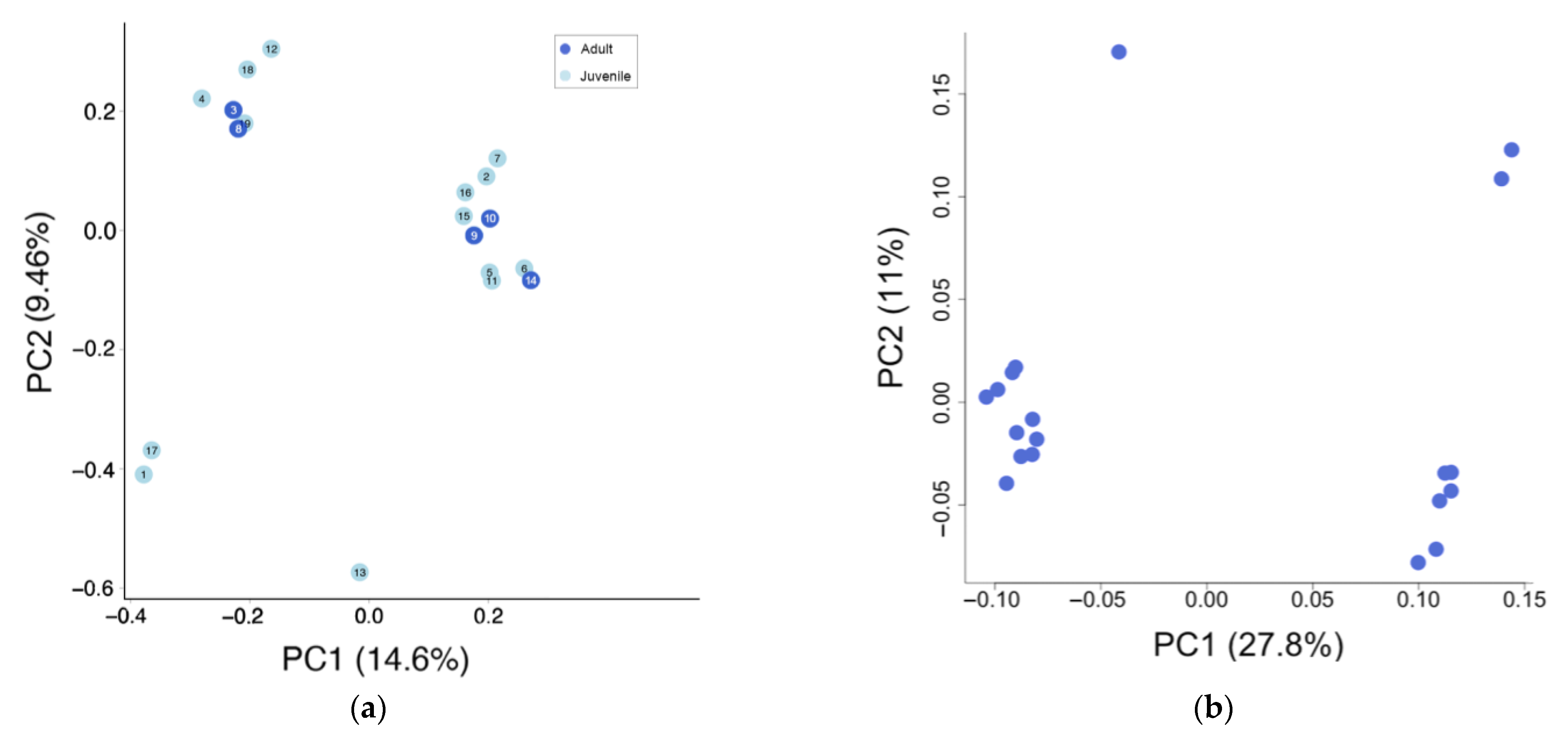 Diversity 15 00923 g001
