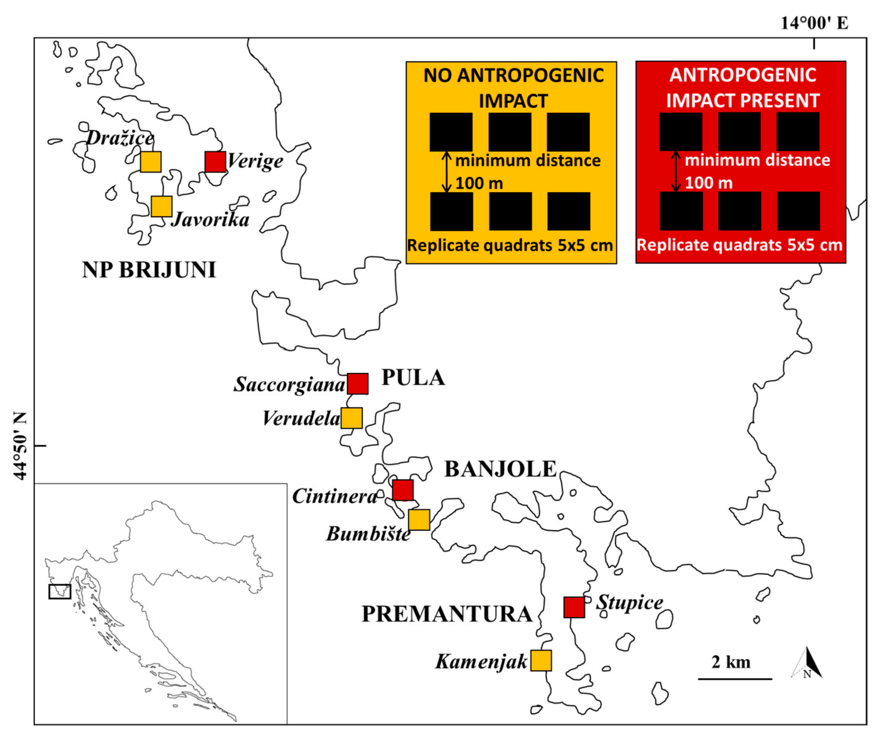 Diversity 15 00939 g001