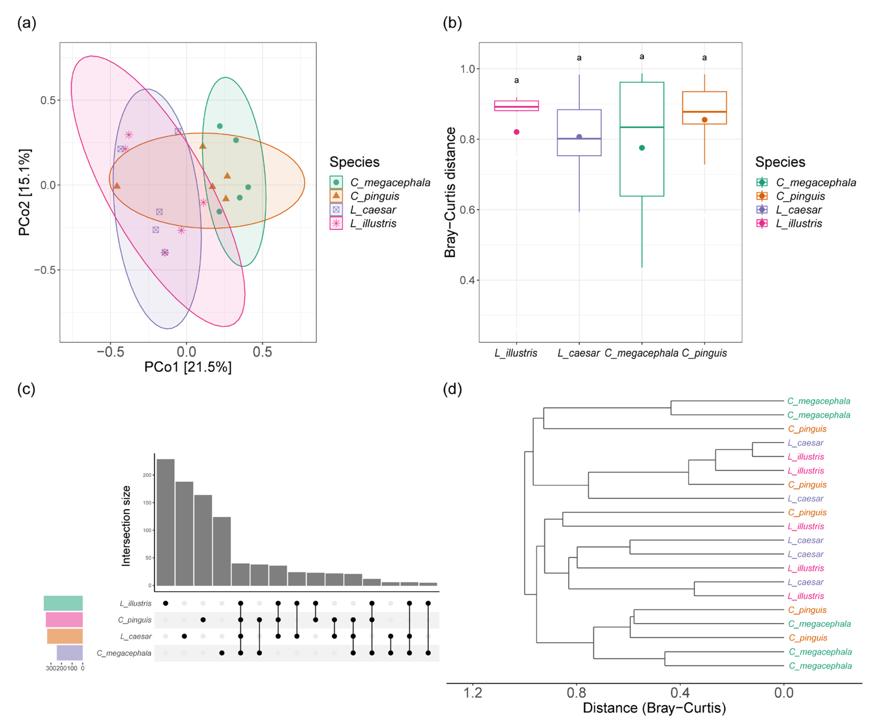 Diversity 15 00970 g003