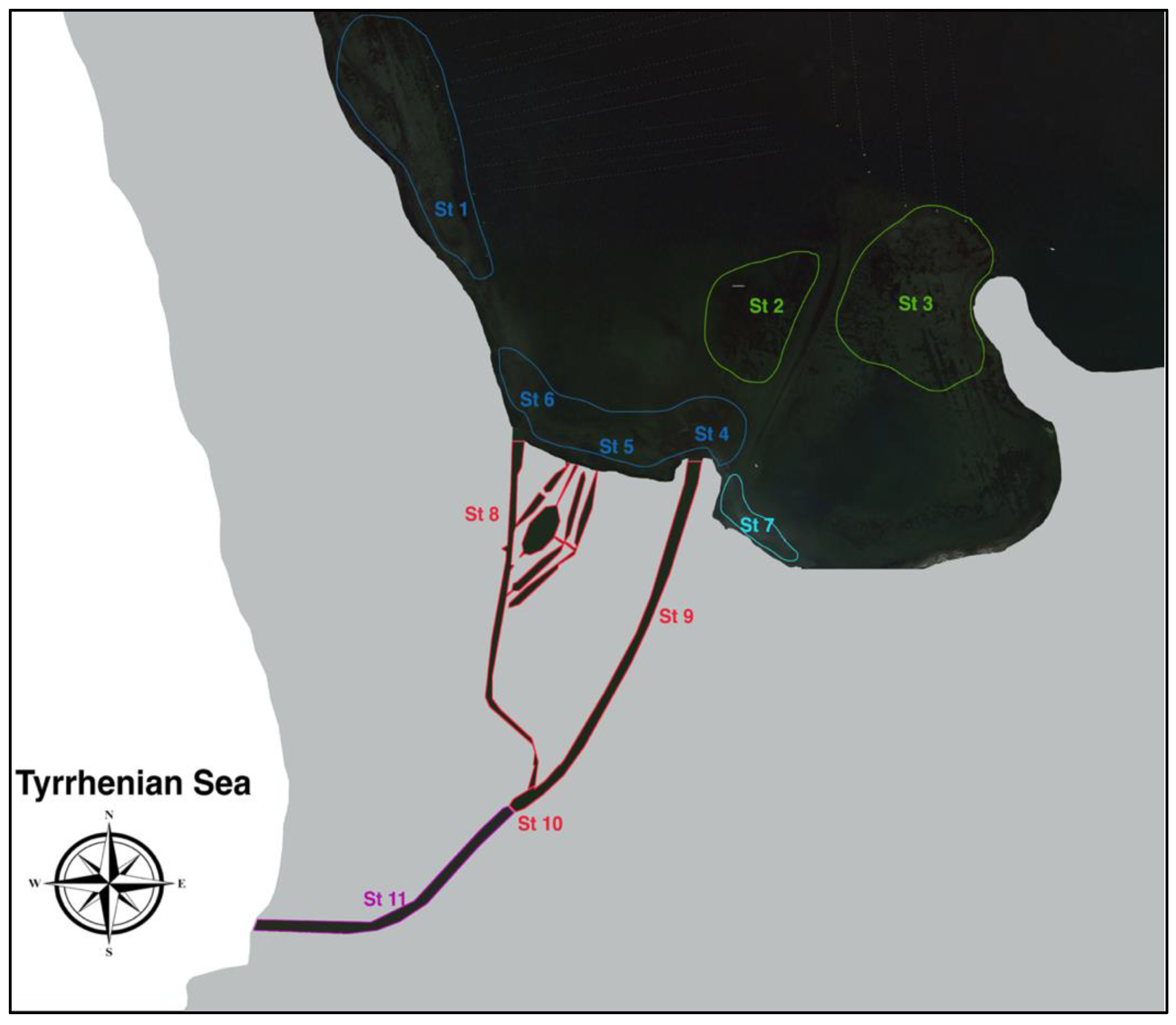 Diversity 15 00972 g002 Diversity 15 00972 g002