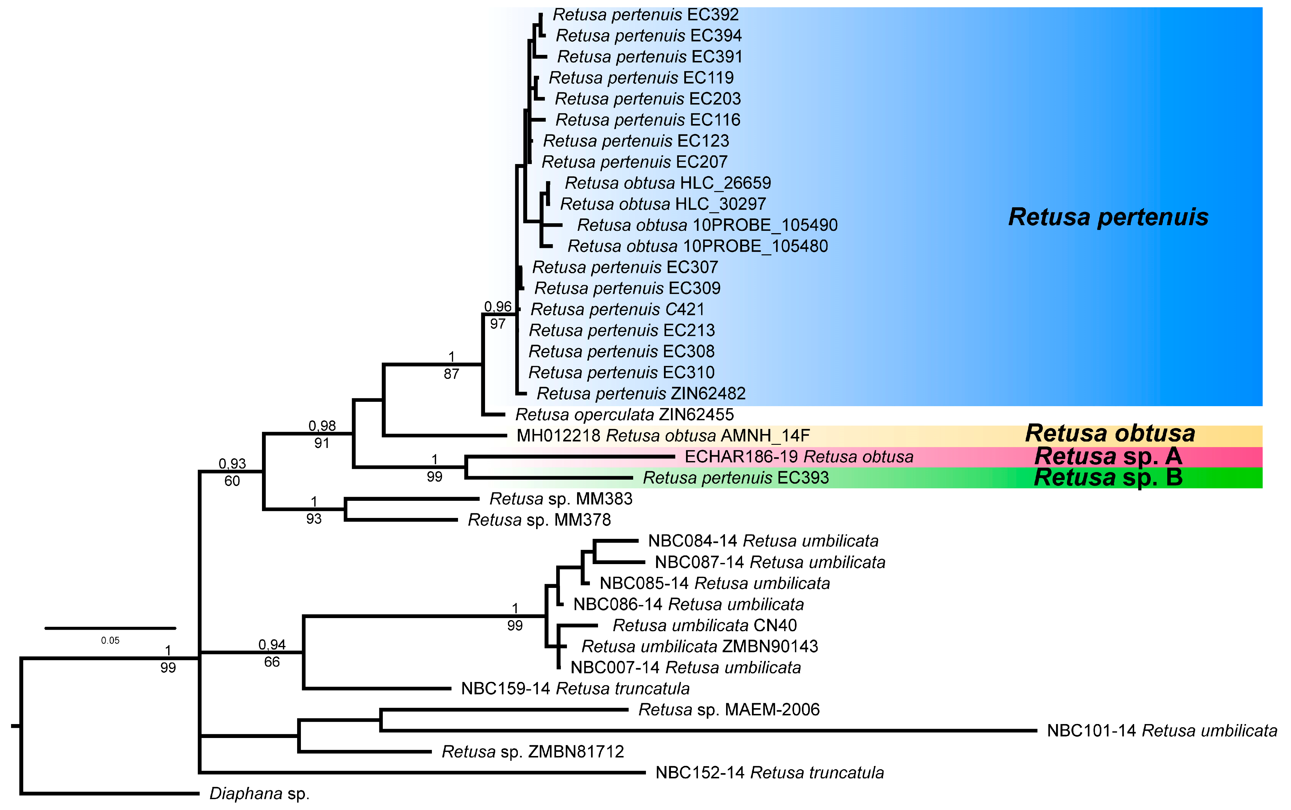 Diversity 15 00974 g002 Diversity 15 00974 g002