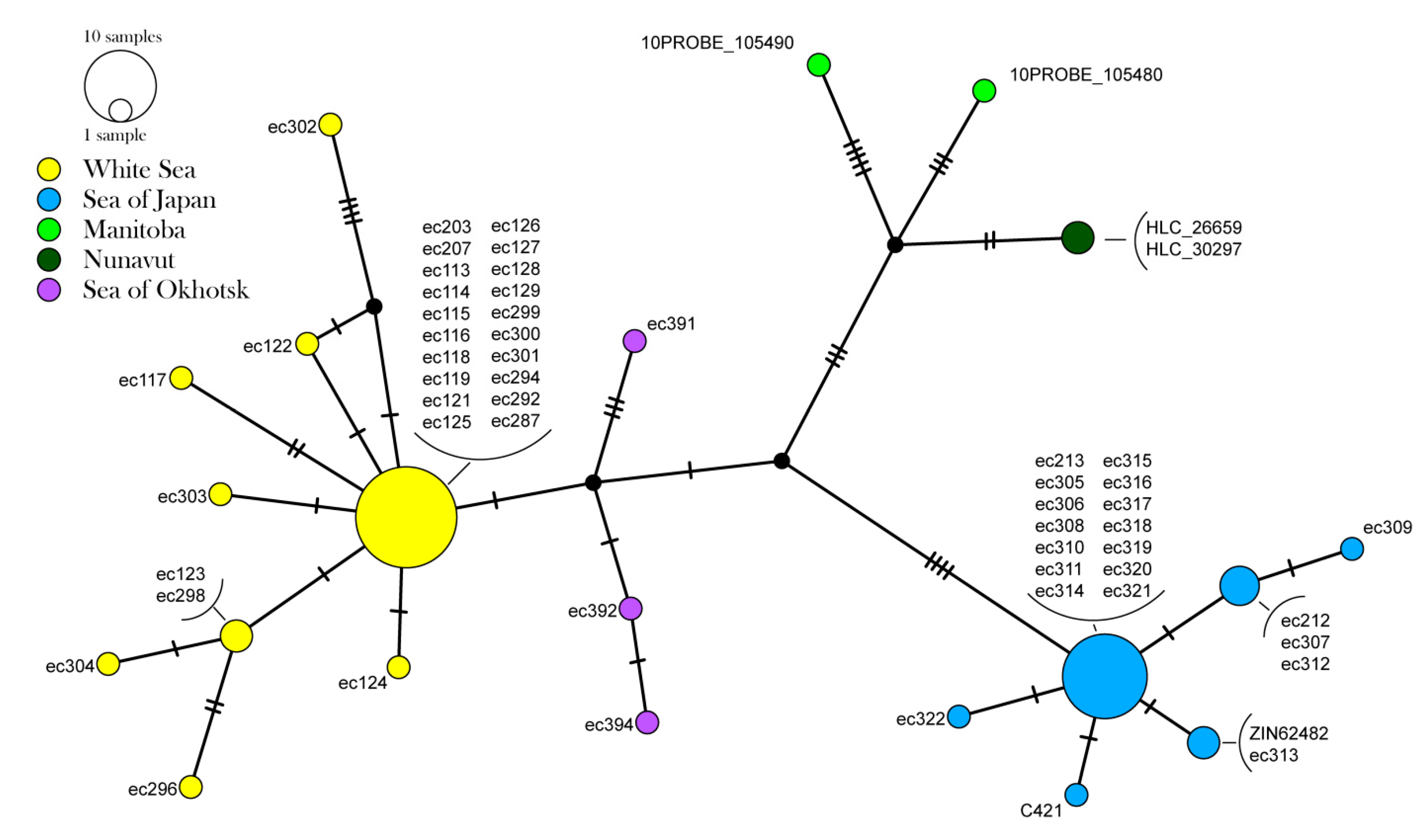 Diversity 15 00974 g003 Diversity 15 00974 g003