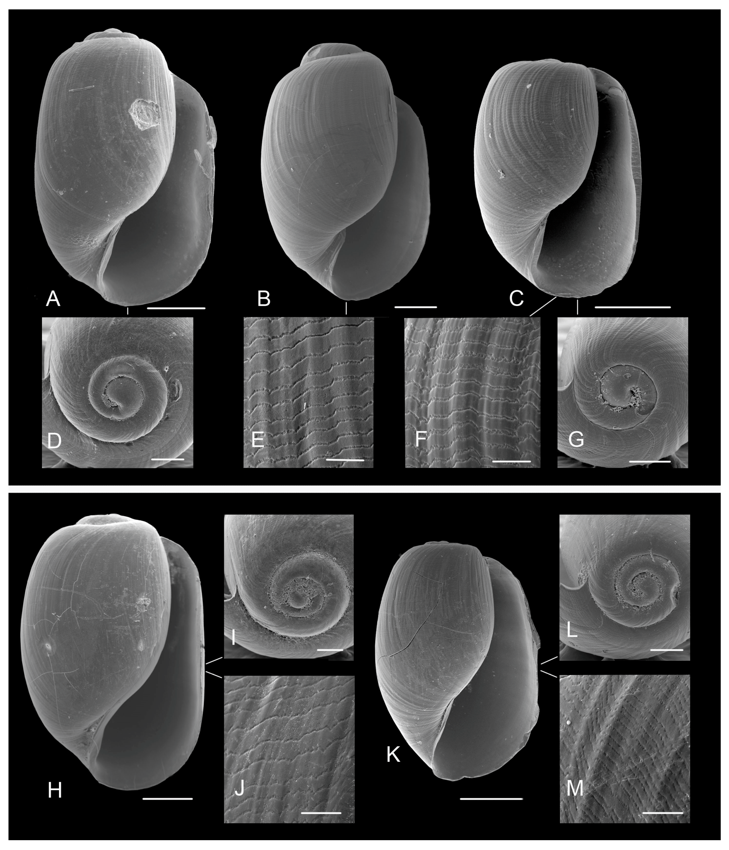 Diversity 15 00974 g007 Diversity 15 00974 g007