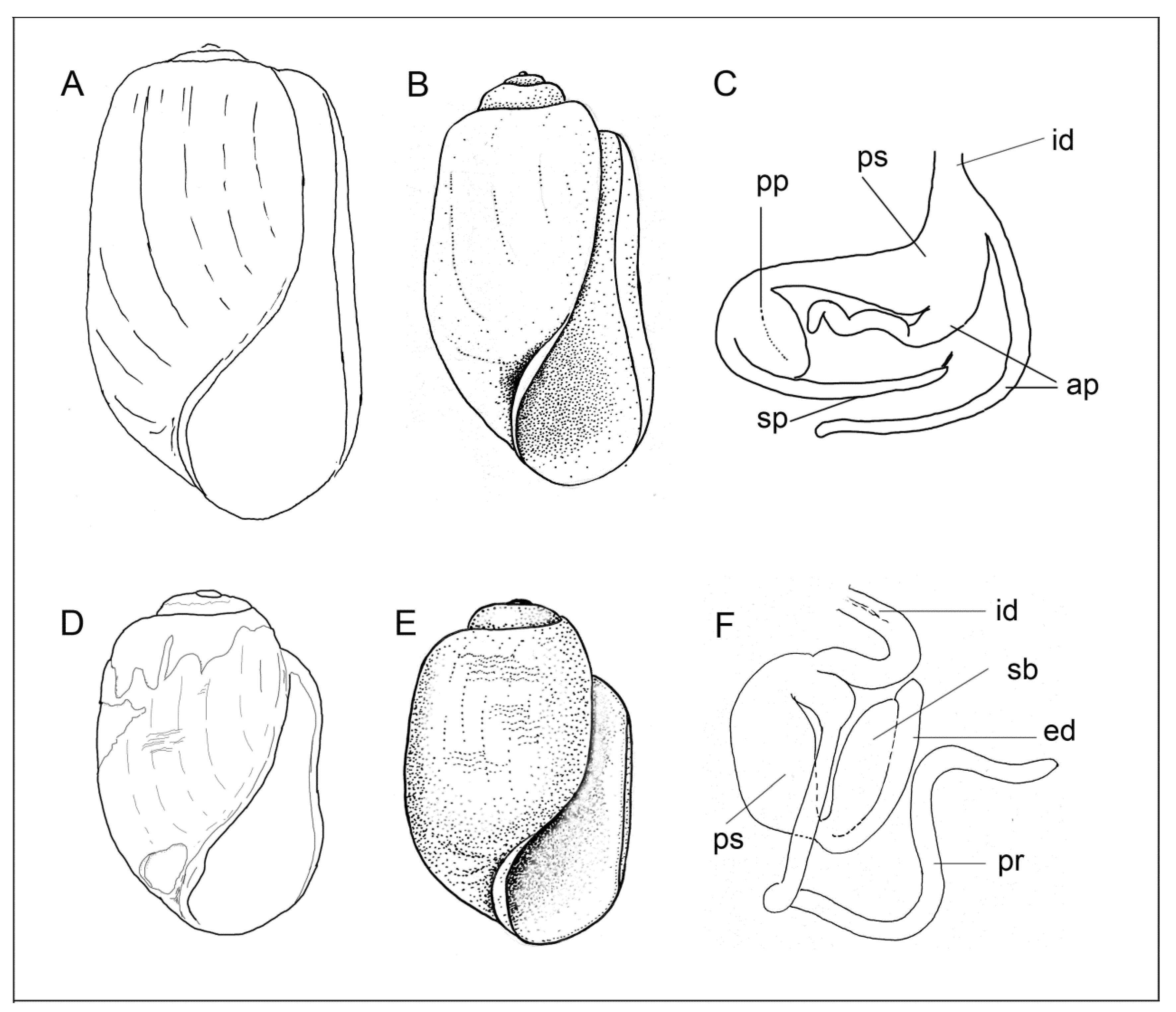 Diversity 15 00974 g011 Diversity 15 00974 g011