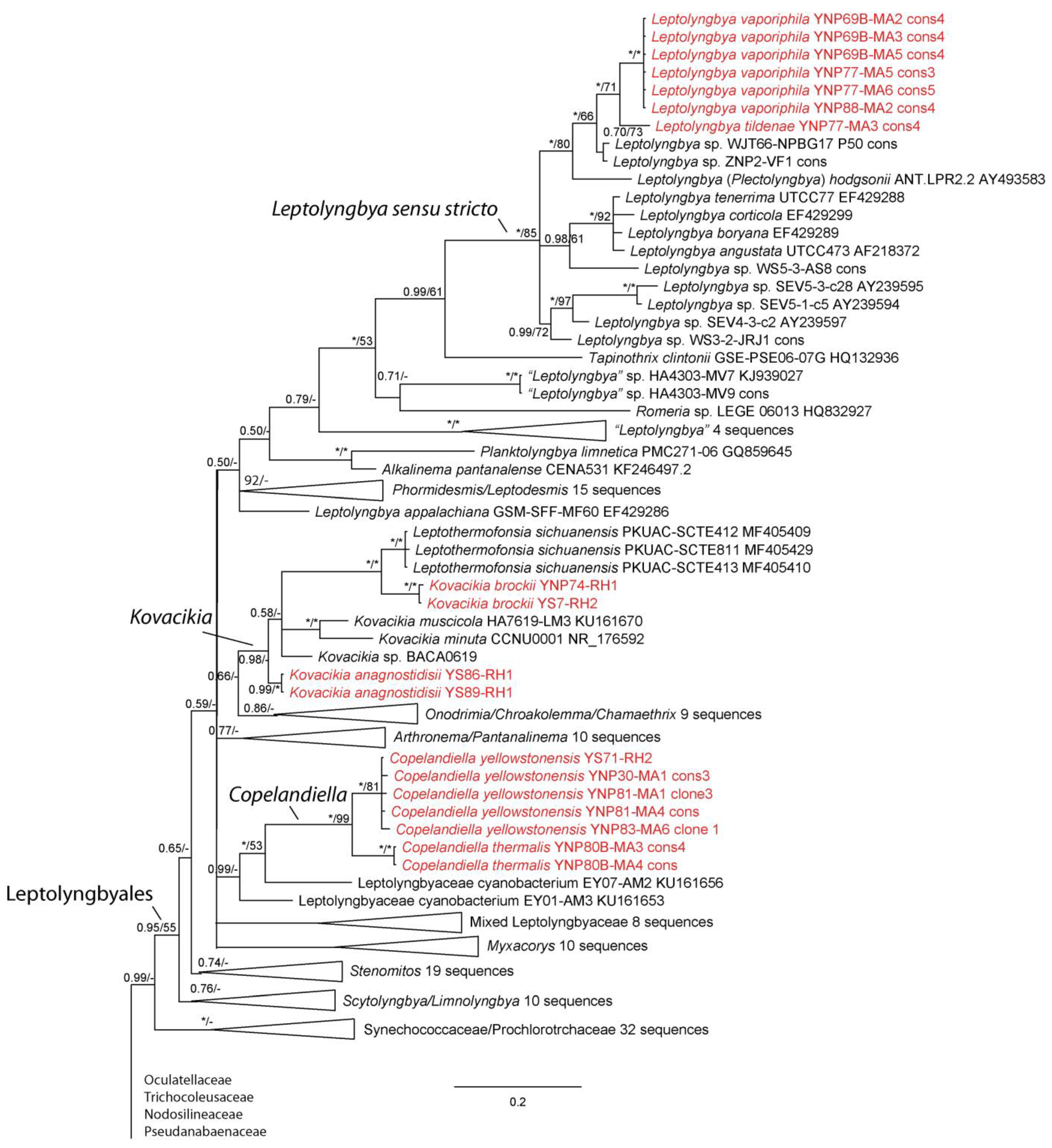 Diversity 15 00975 g002 Diversity 15 00975 g002