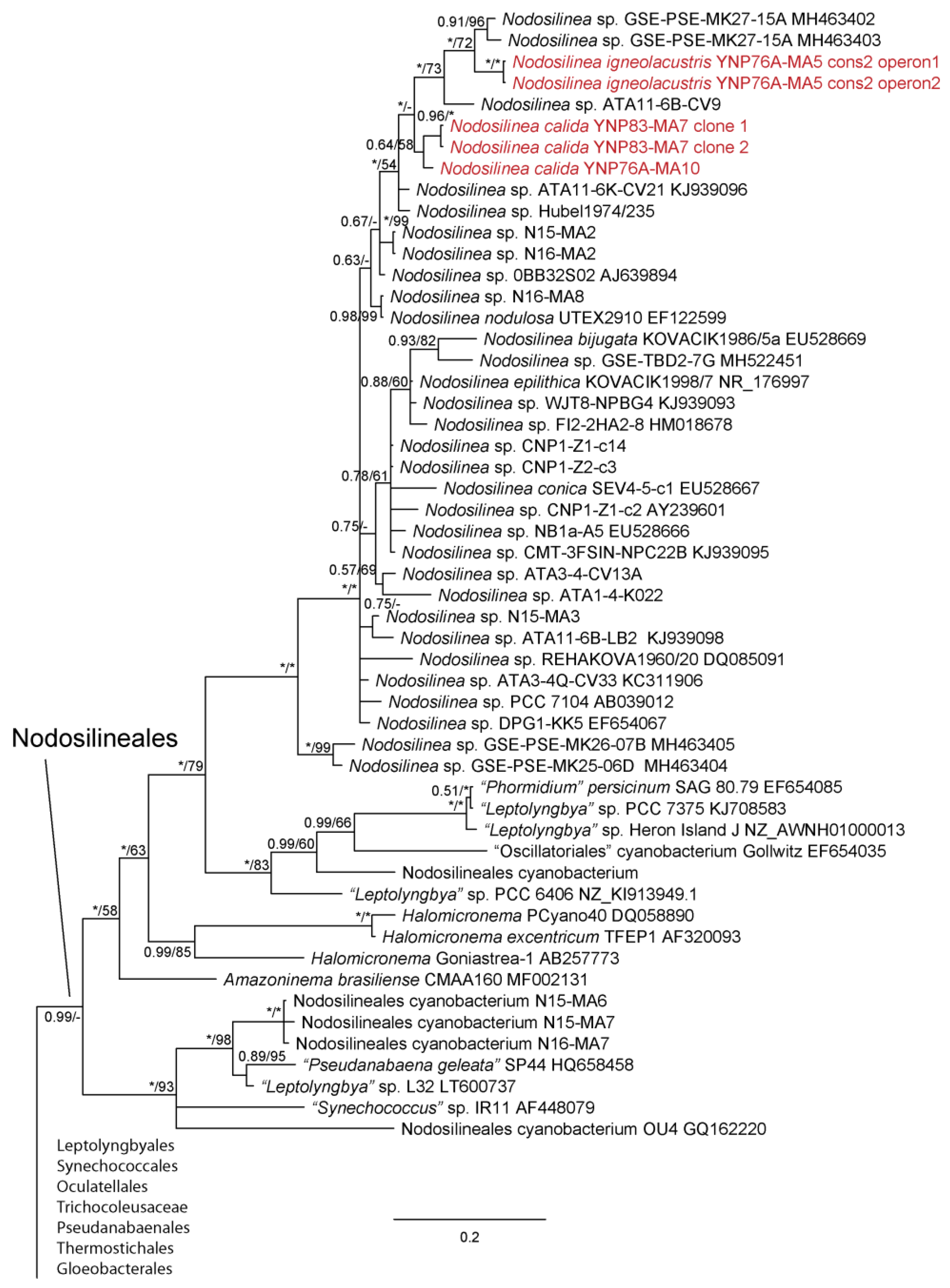 Diversity 15 00975 g004 Diversity 15 00975 g004