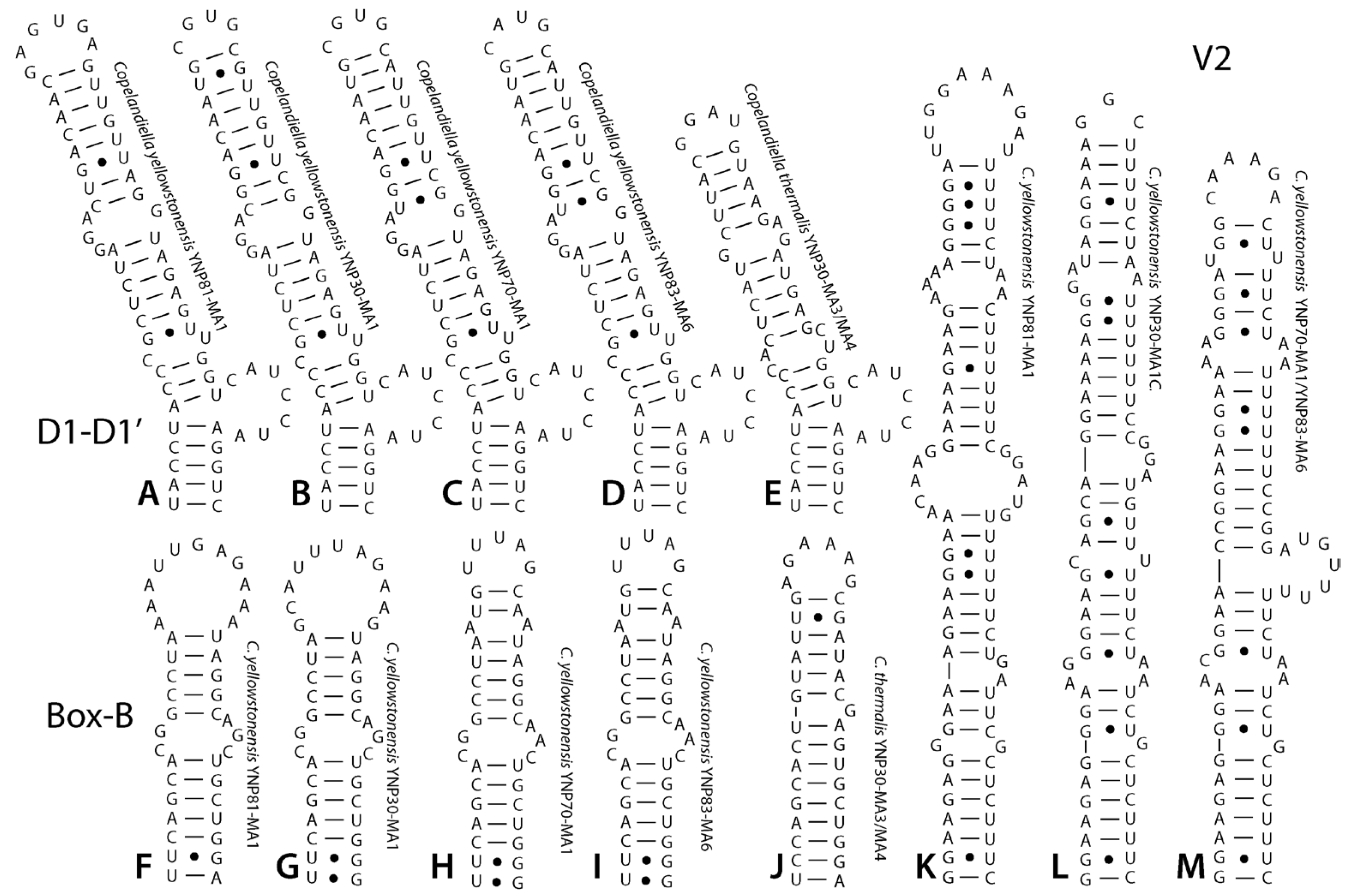 Diversity 15 00975 g006 Diversity 15 00975 g006