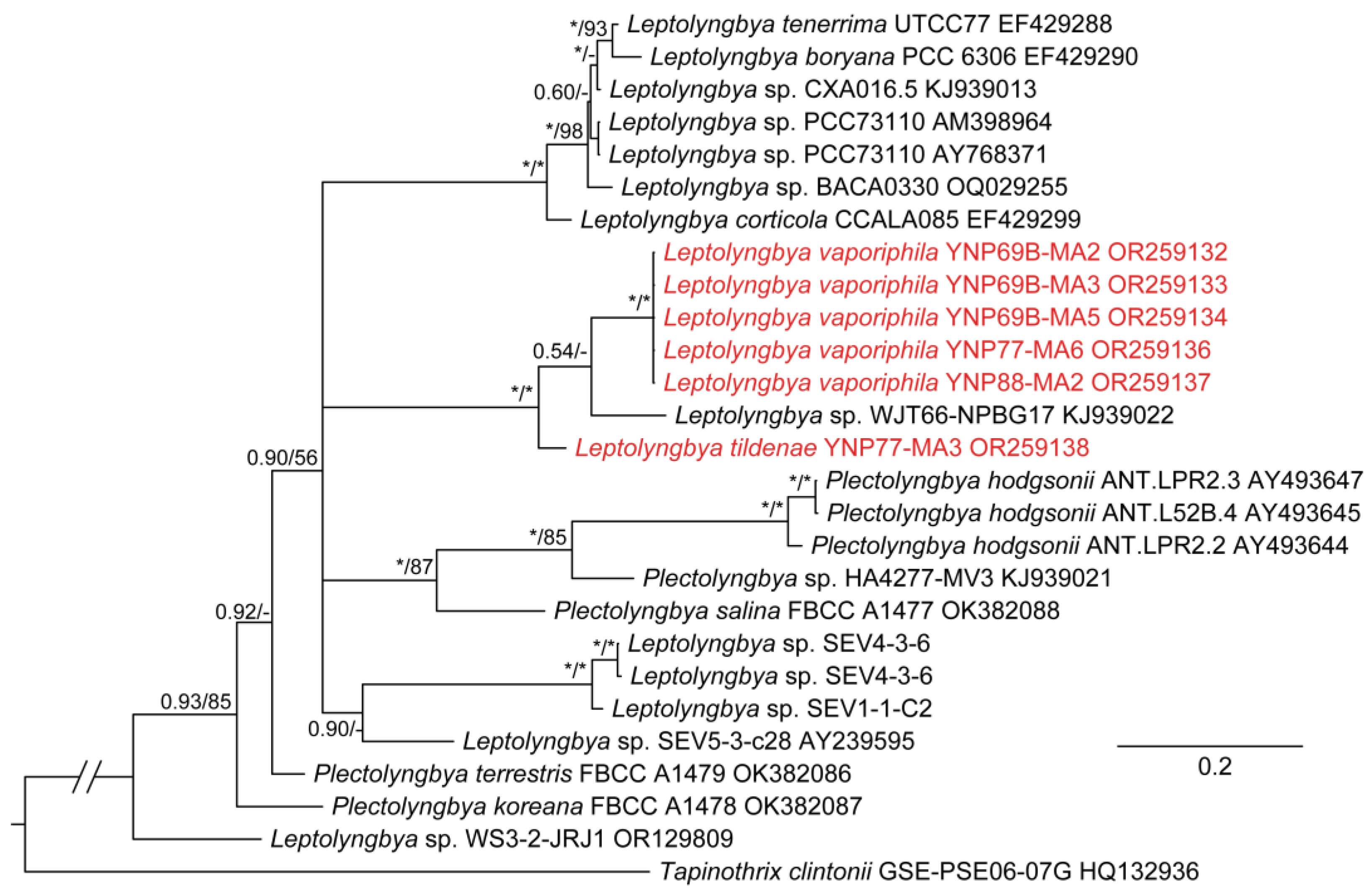 Diversity 15 00975 g011 Diversity 15 00975 g011