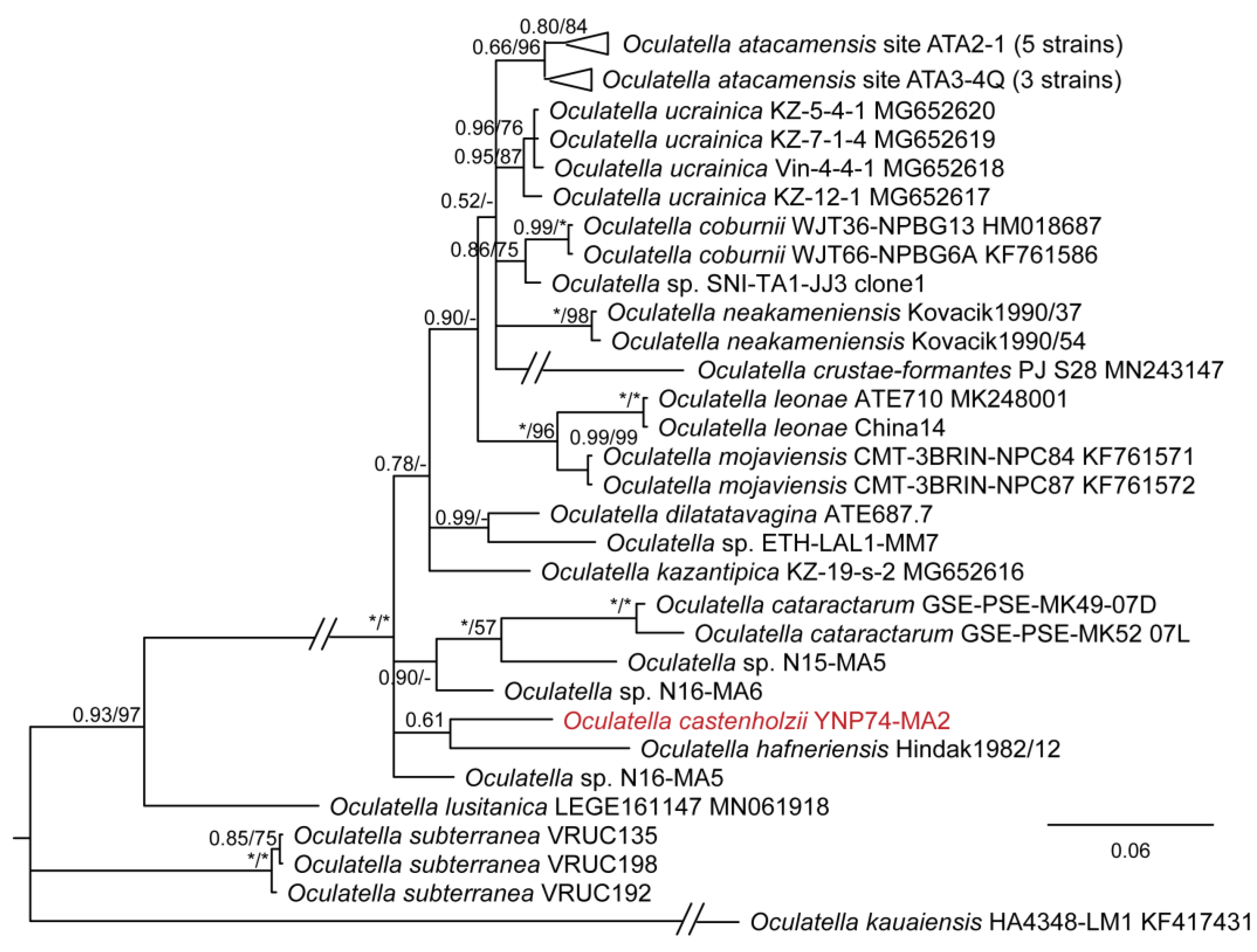 Diversity 15 00975 g015 Diversity 15 00975 g015