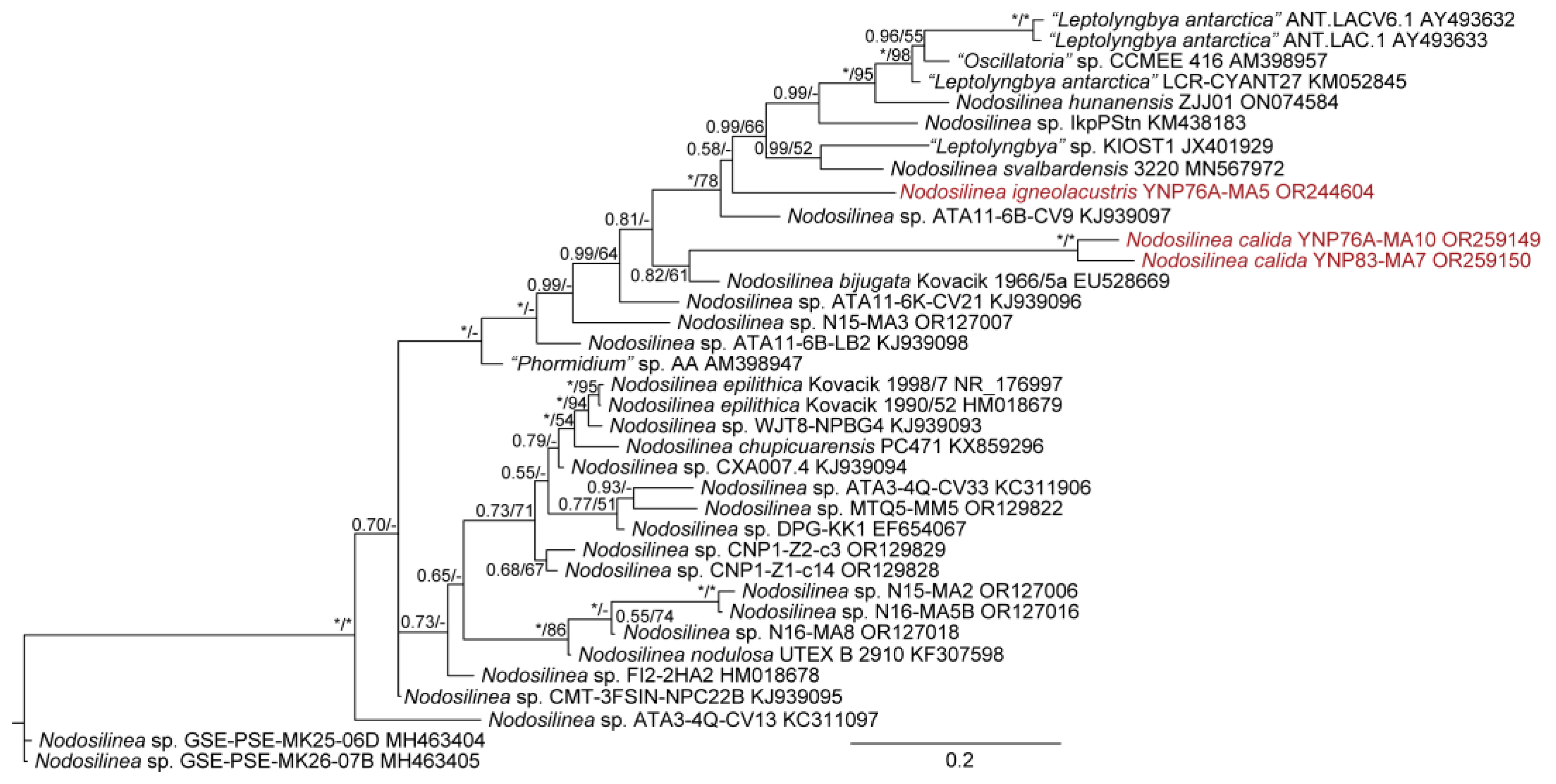 Diversity 15 00975 g017 Diversity 15 00975 g017