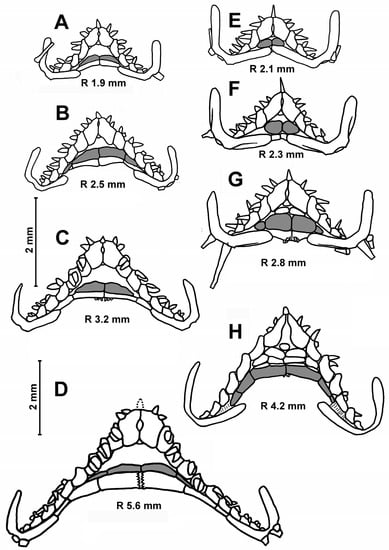 https://www.mdpi.com/diversity/diversity-15-01032/article_deploy/html/images/diversity-15-01032-g007-550.jpg