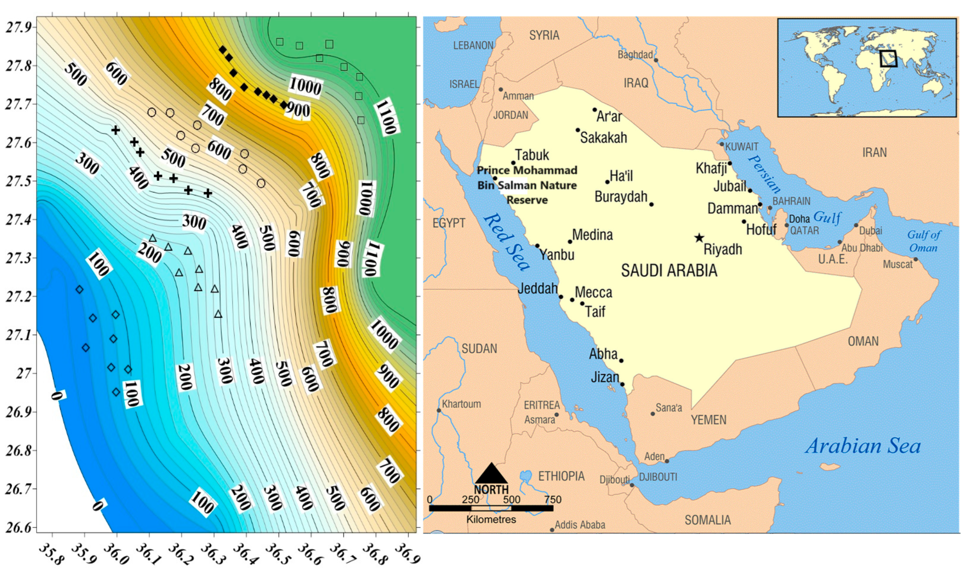 Diversity | Free Full-Text | Diversity of Indicator and Dominant Plant  Species along Elevation Gradients in Prince Mohammad Bin Salman Nature  Reserve, KSA
