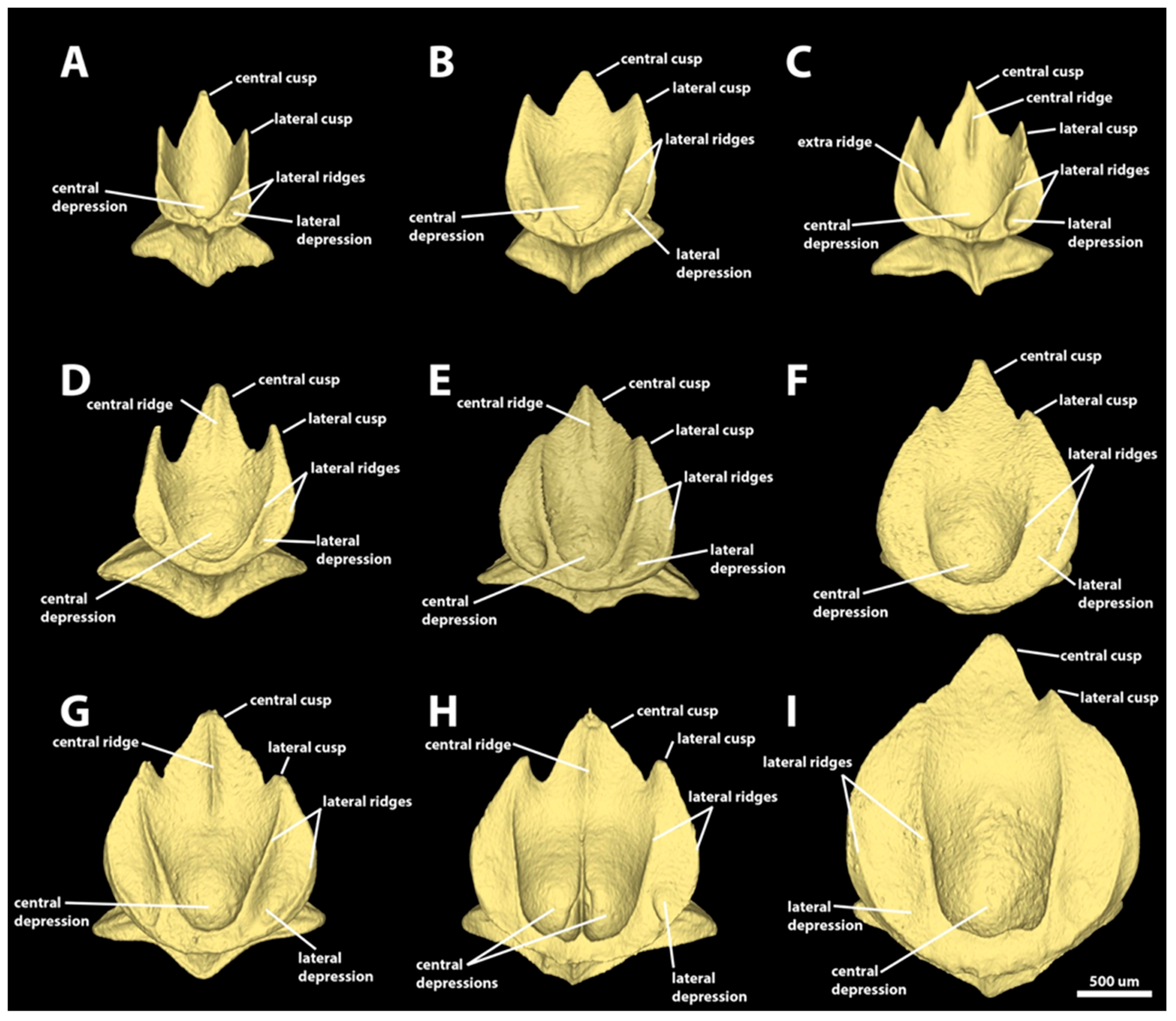 Diversity 15 01105 g011