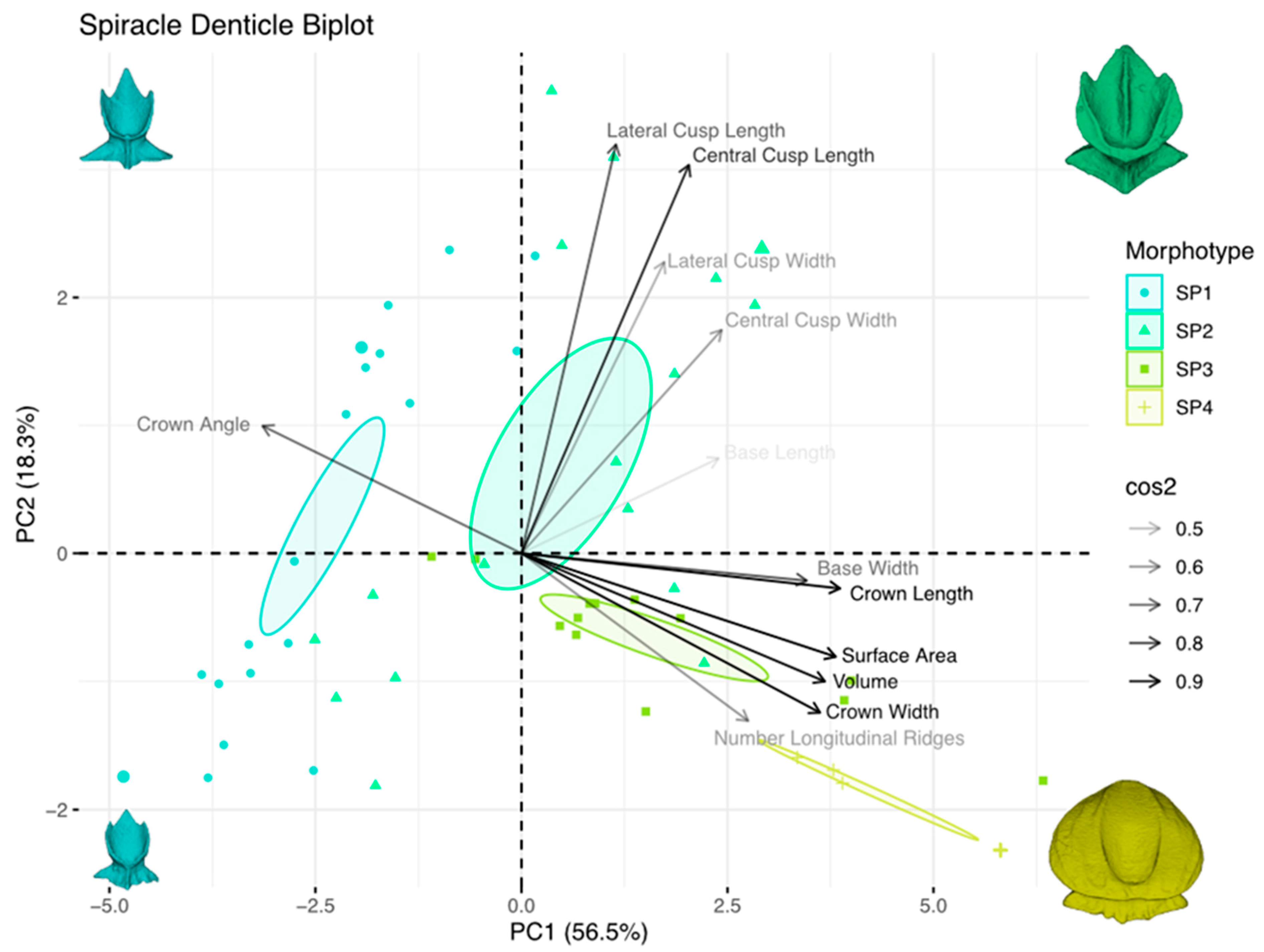 Diversity 15 01105 g019