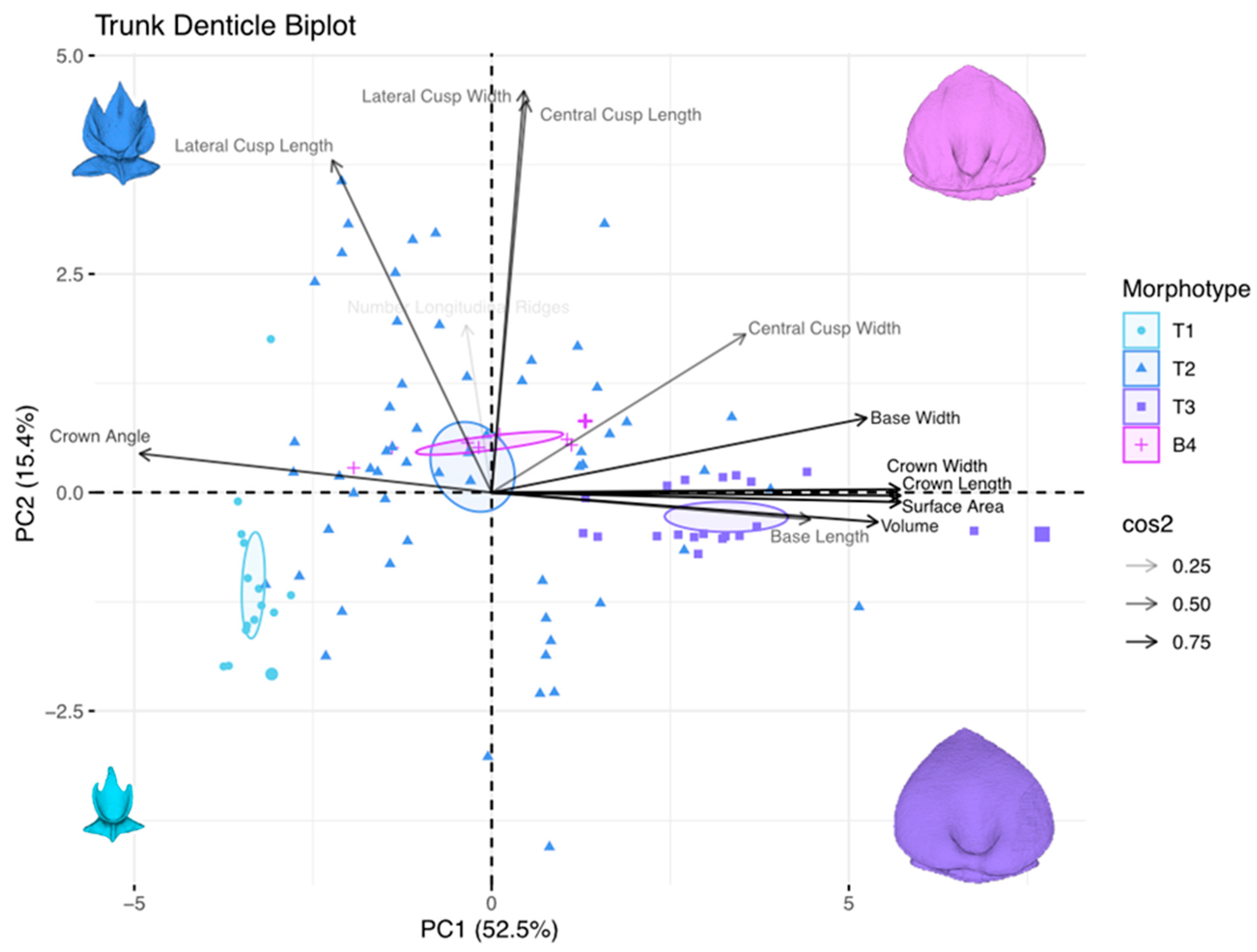 Diversity 15 01105 g020