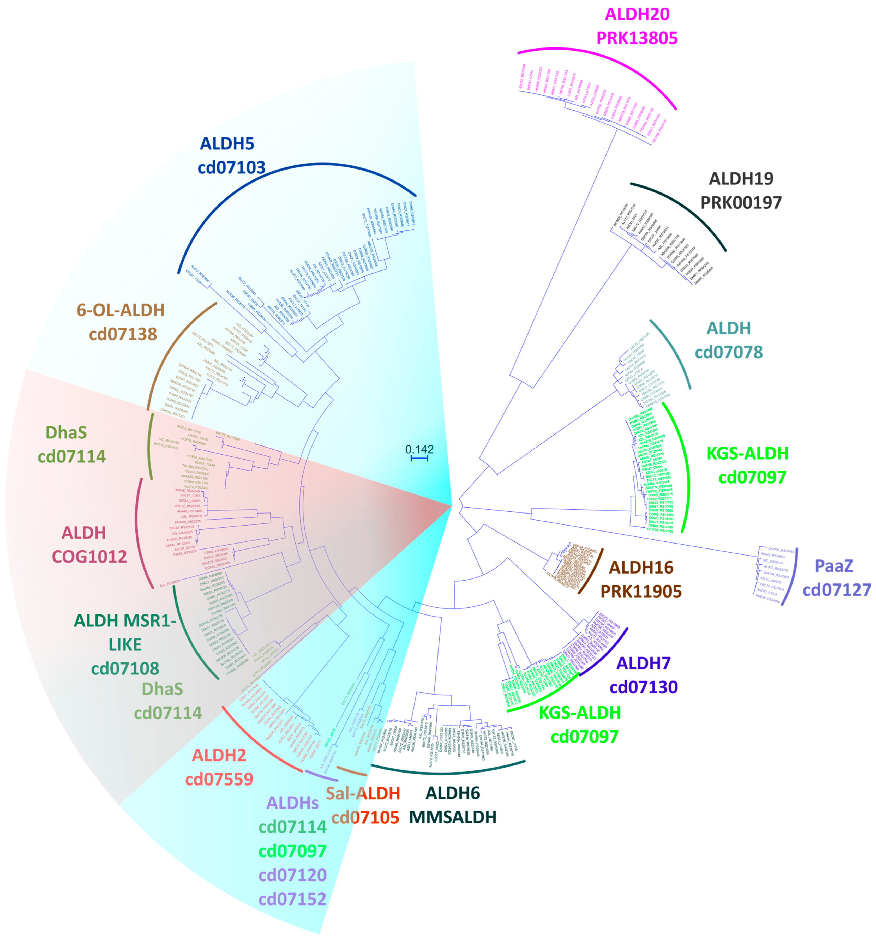 Diversity 15 01178 g004 Diversity 15 01178 g004