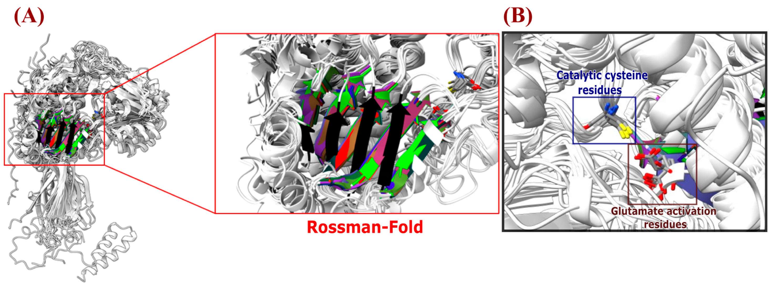 Diversity 15 01178 g007 Diversity 15 01178 g007
