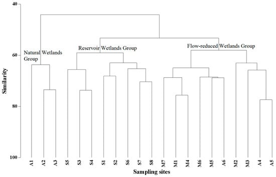 Diversity | Free Full-Text | Responses of Phytoplankton 