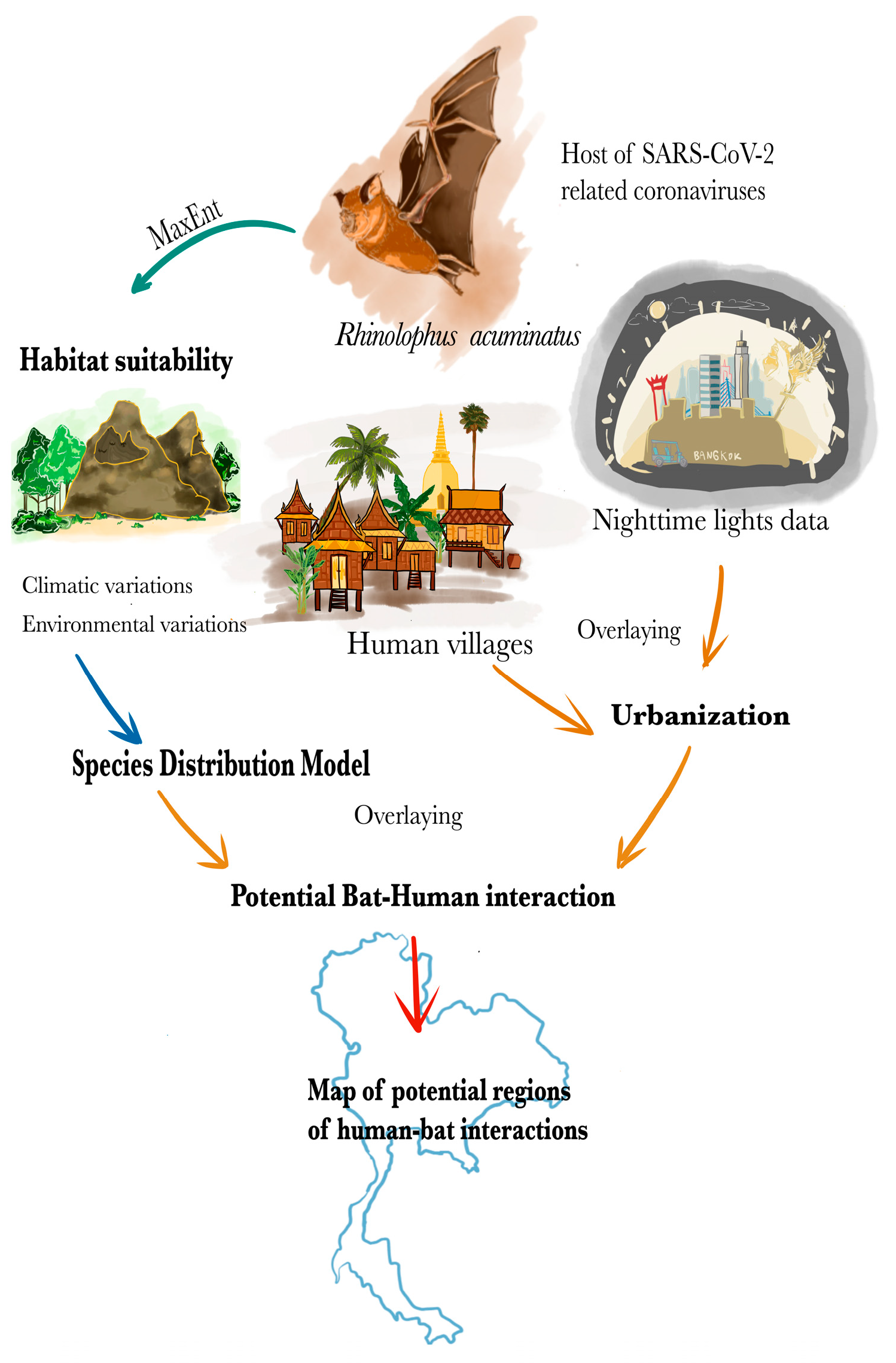 DarkCideS 1.0, a global database for bats in karsts and caves