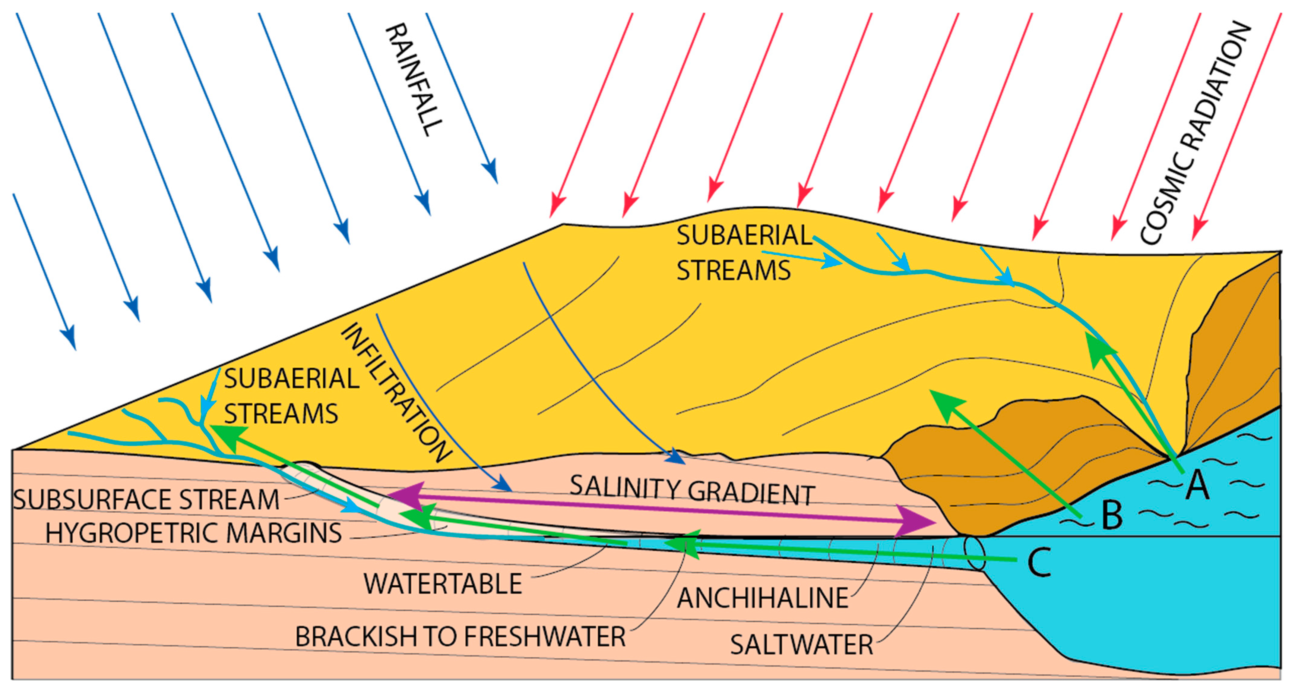 The biosphere, a major geological player - Encyclopedia of the