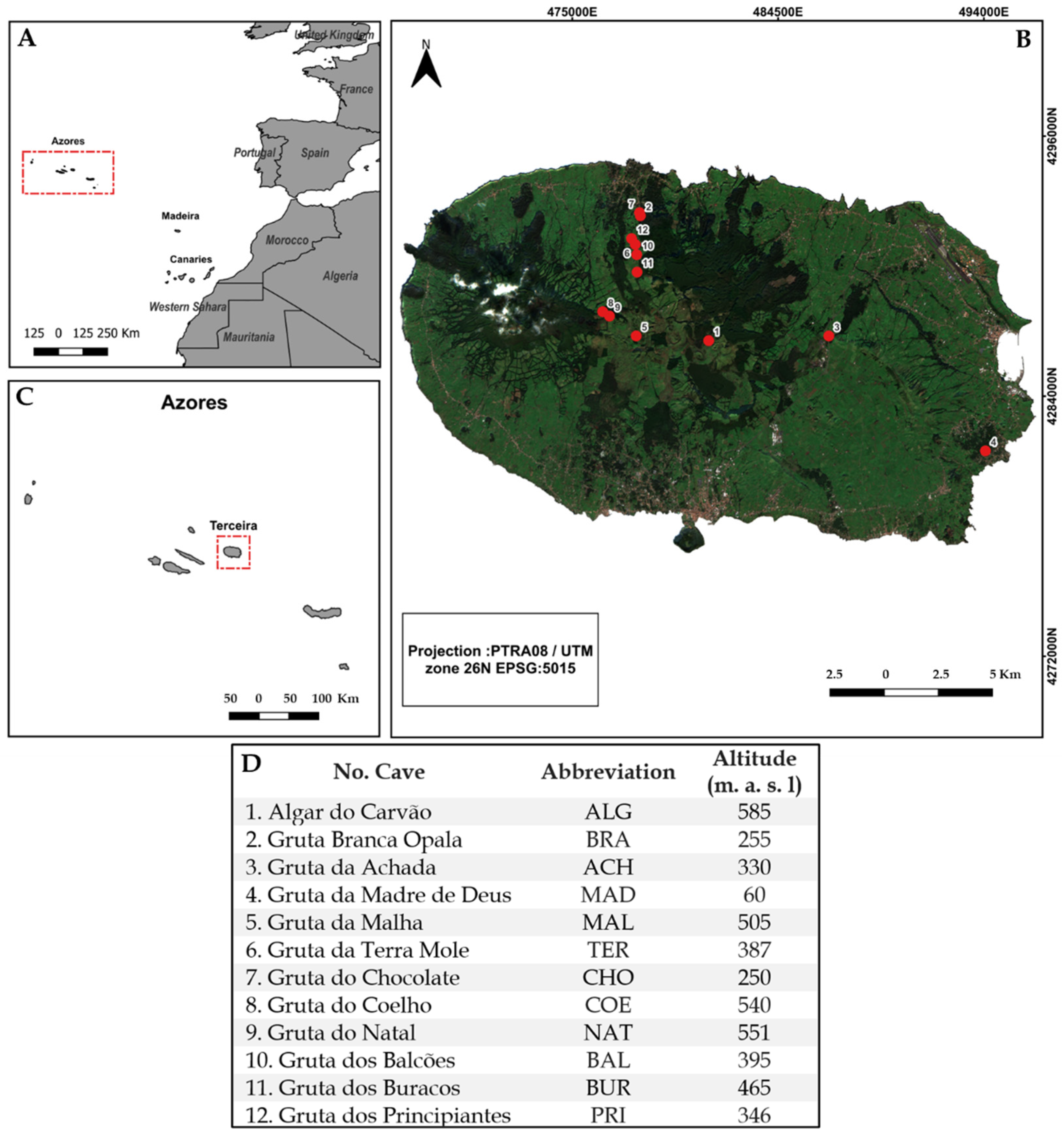 Diversity 16 00058 g001 Diversity 16 00058 g001