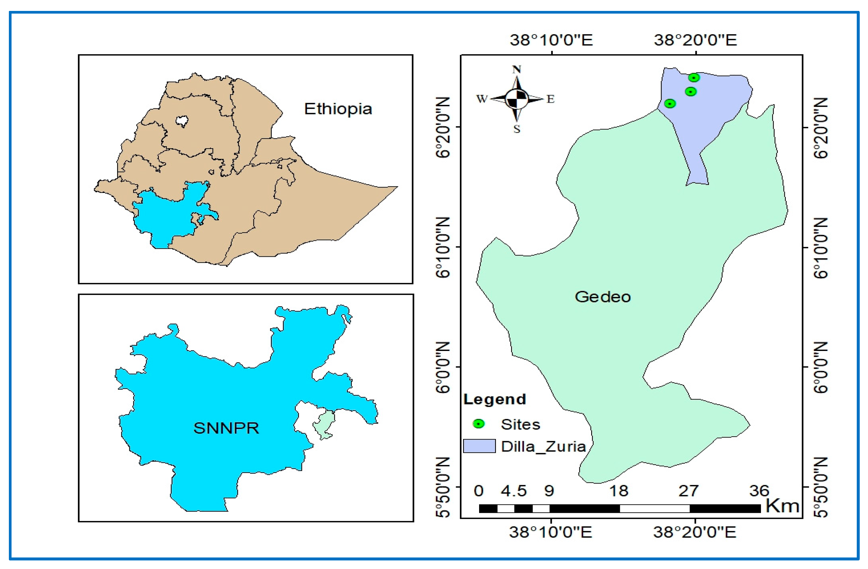 Diversity 16 00064 g001
