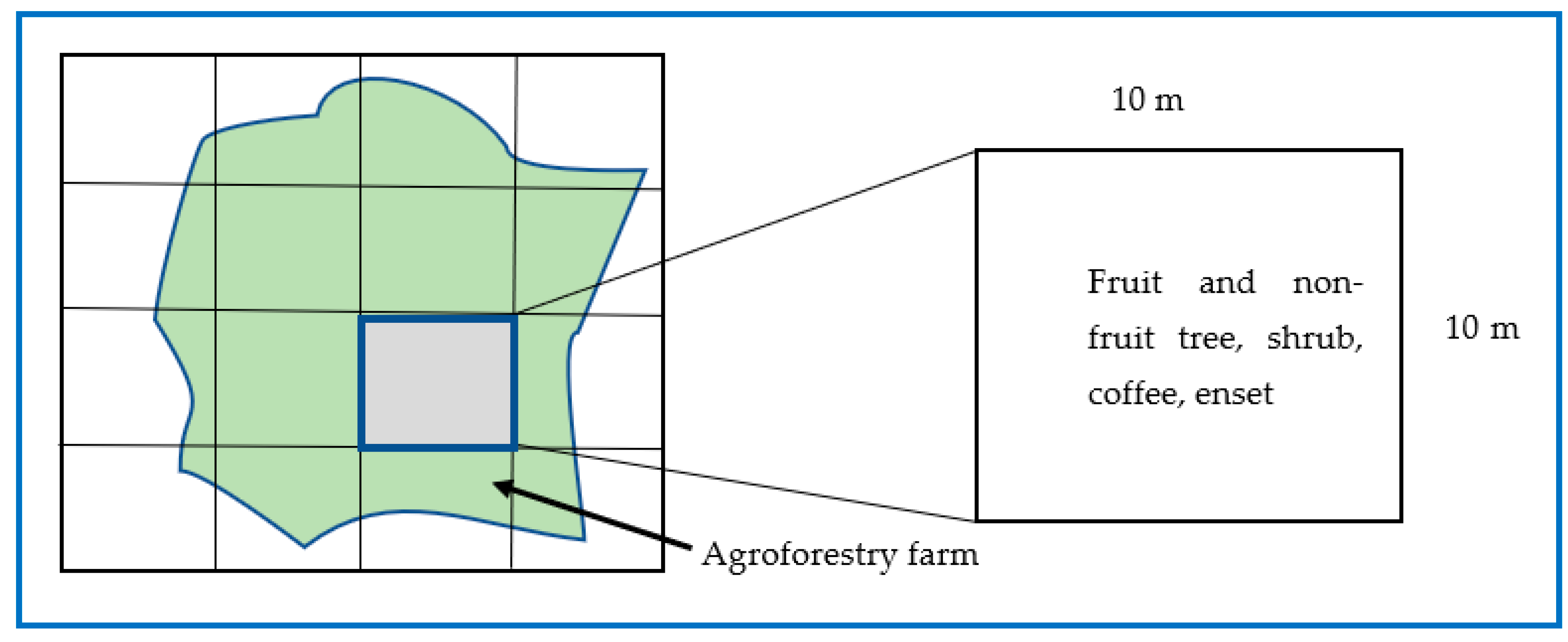 Diversity 16 00064 g002