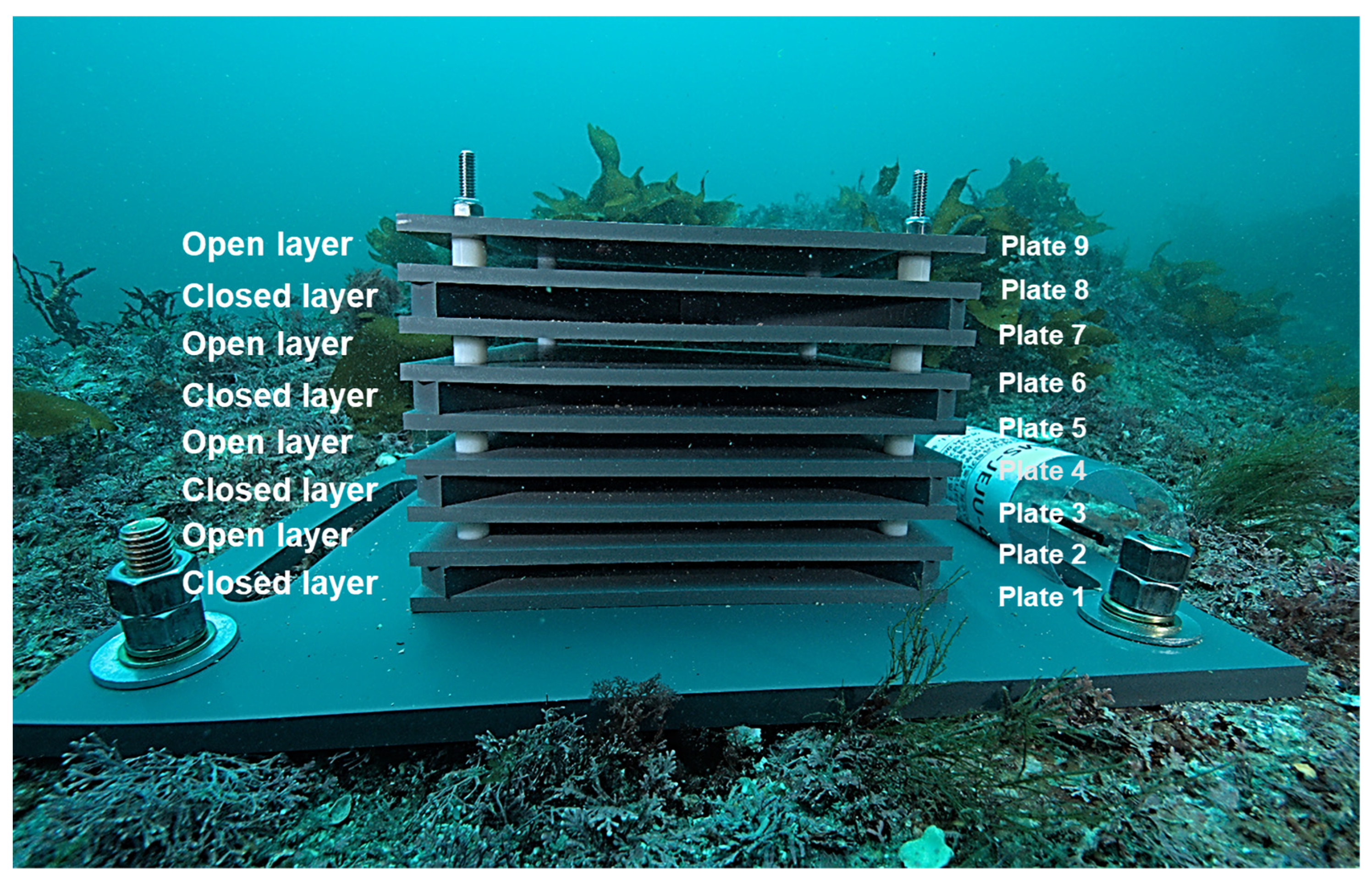 Diversity 16 00083 g002