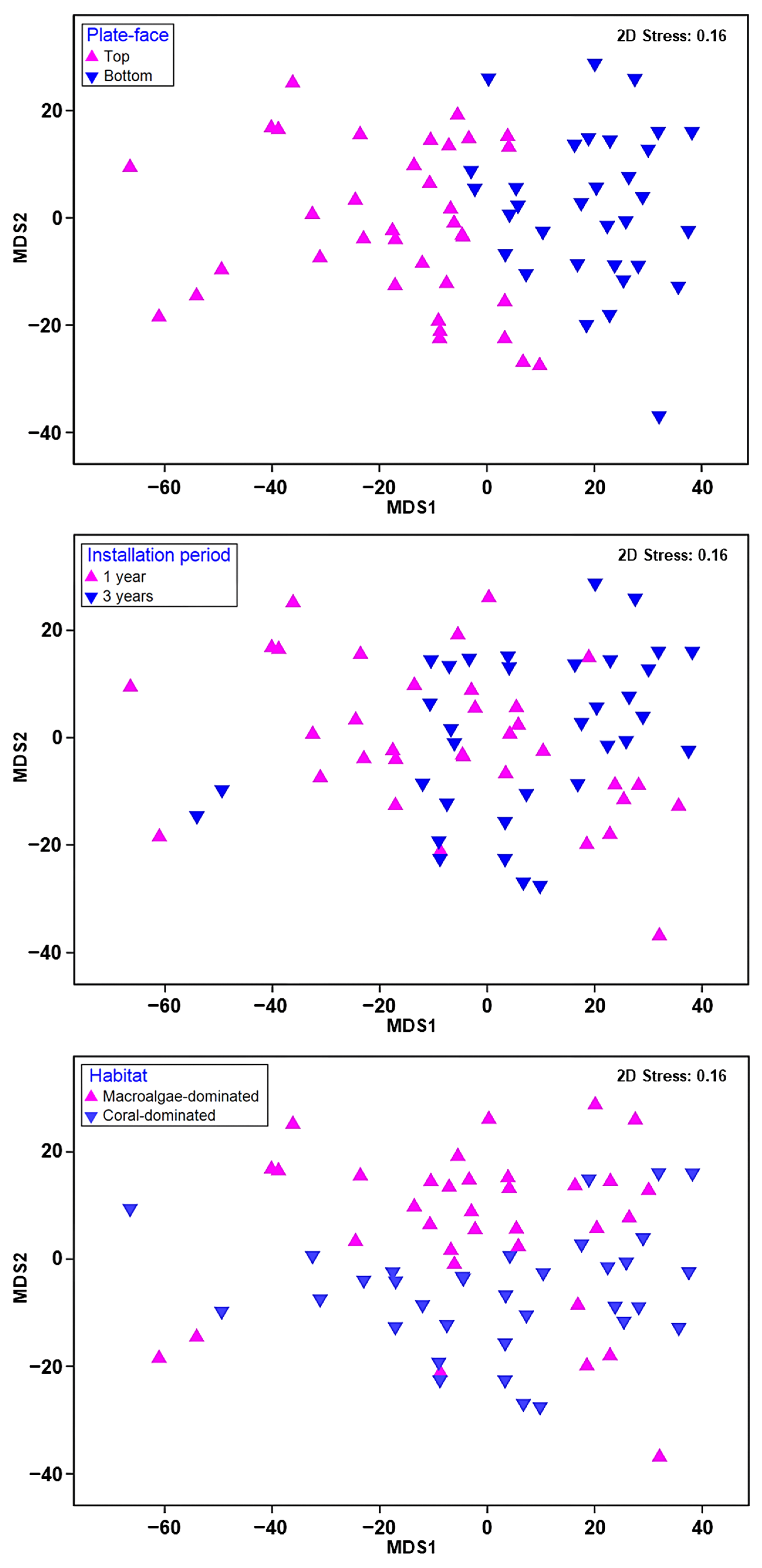 Diversity 16 00083 g005