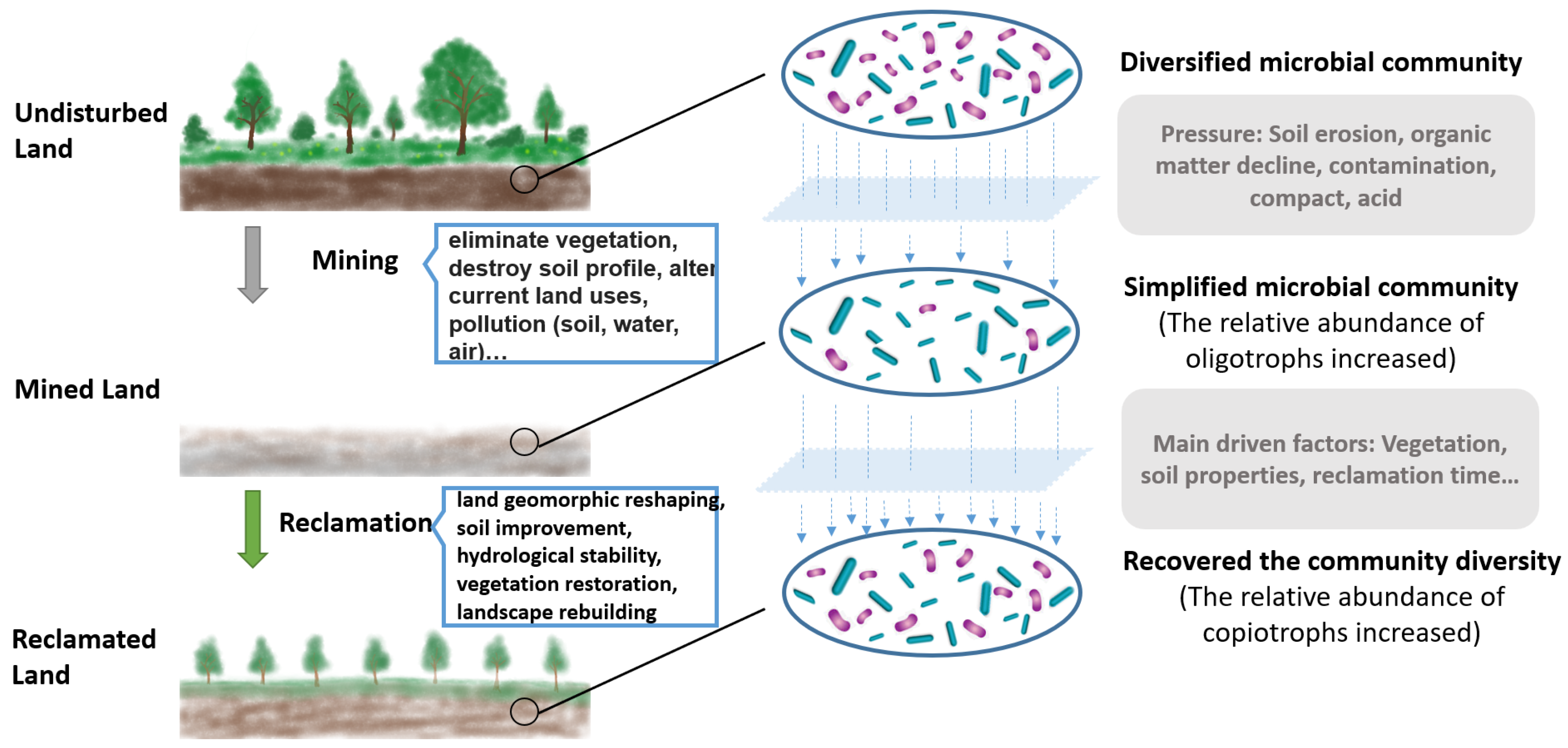 Diversity 16 00086 g005