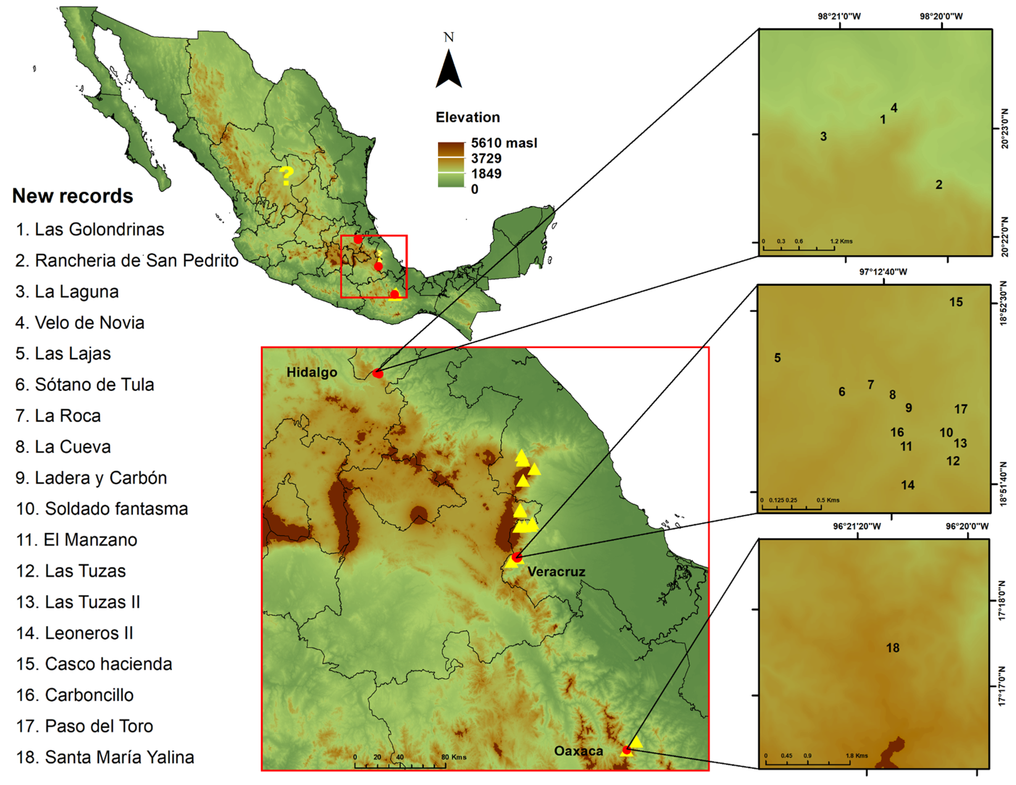 Diversity 16 00087 g001 Diversity 16 00087 g001