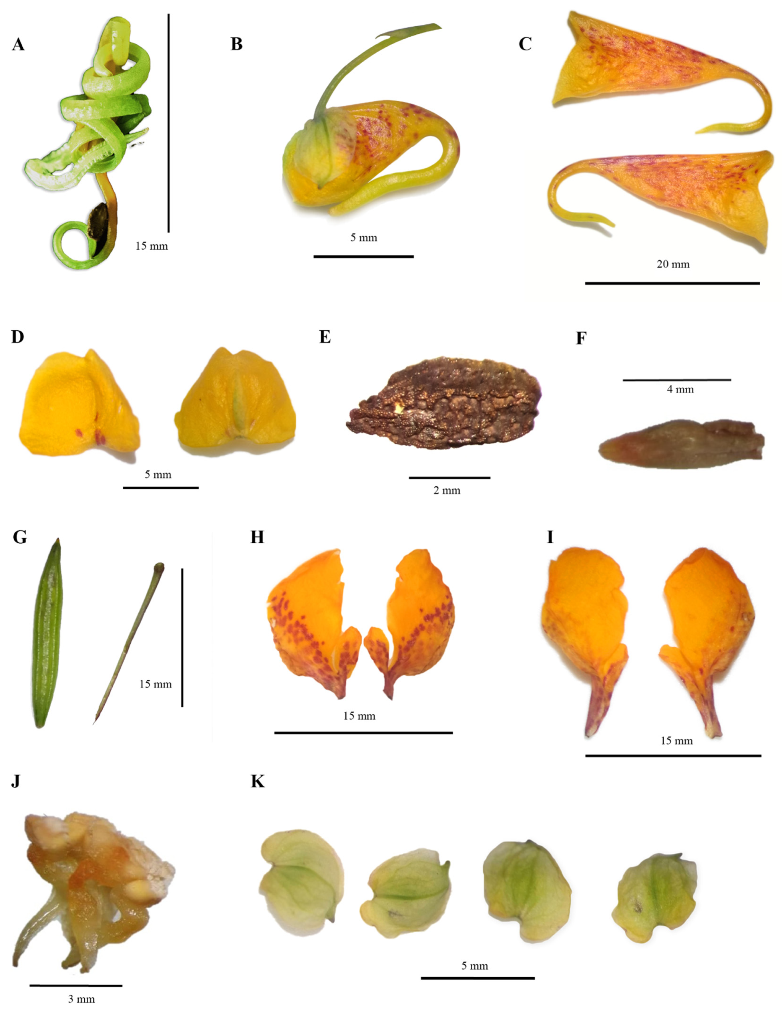 Diversity 16 00087 g006 Diversity 16 00087 g006