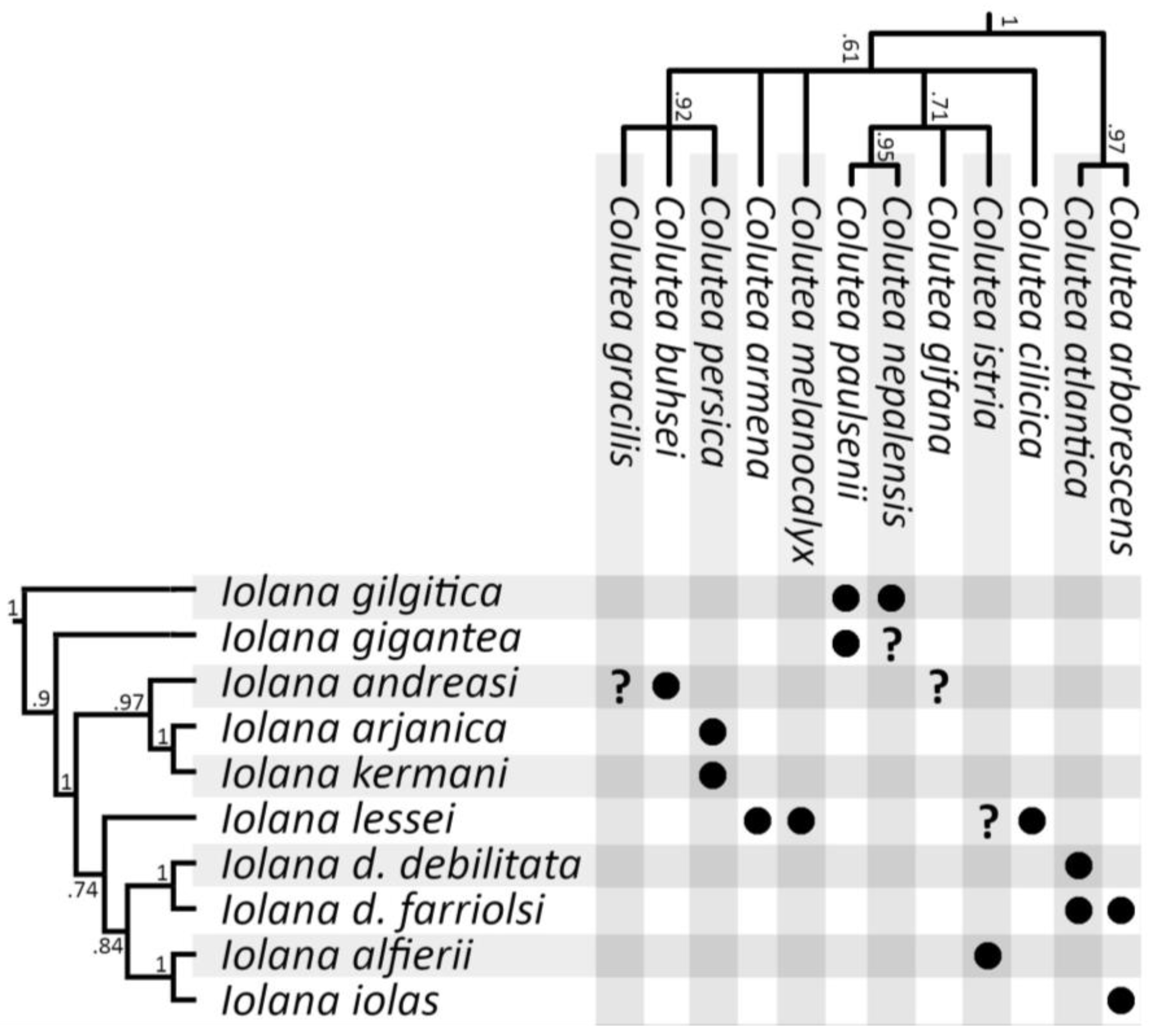Diversity 16 00089 g004