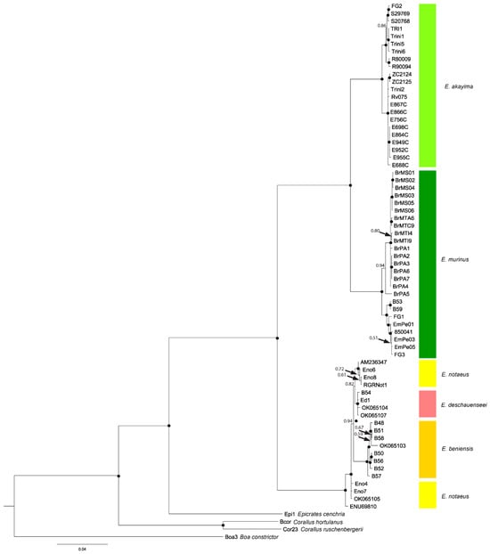 E-W line across the partly inverted Crawford-Skipper Basin and the